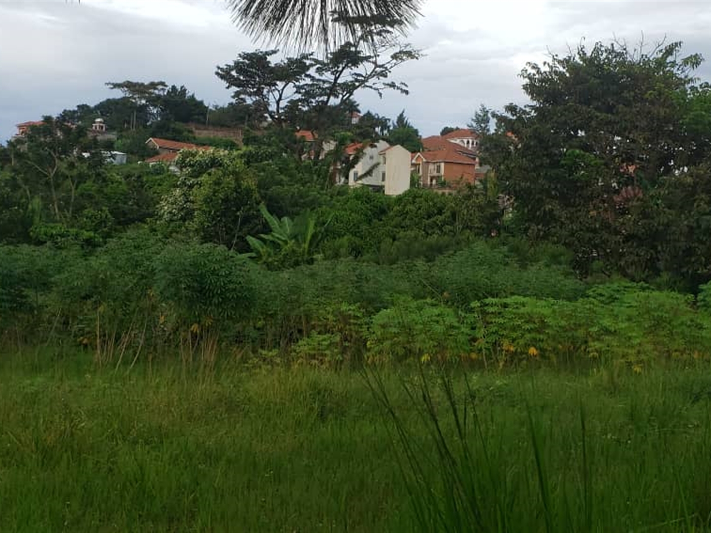 Residential land for sale in Lubowa Wakiso Uganda