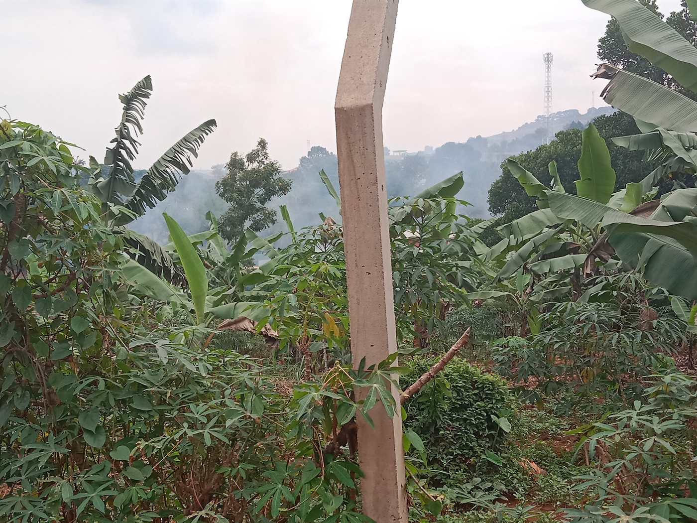Residential land for sale in Lubowa Wakiso Uganda