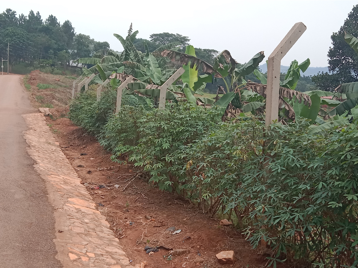 Residential land for sale in Lubowa Wakiso Uganda