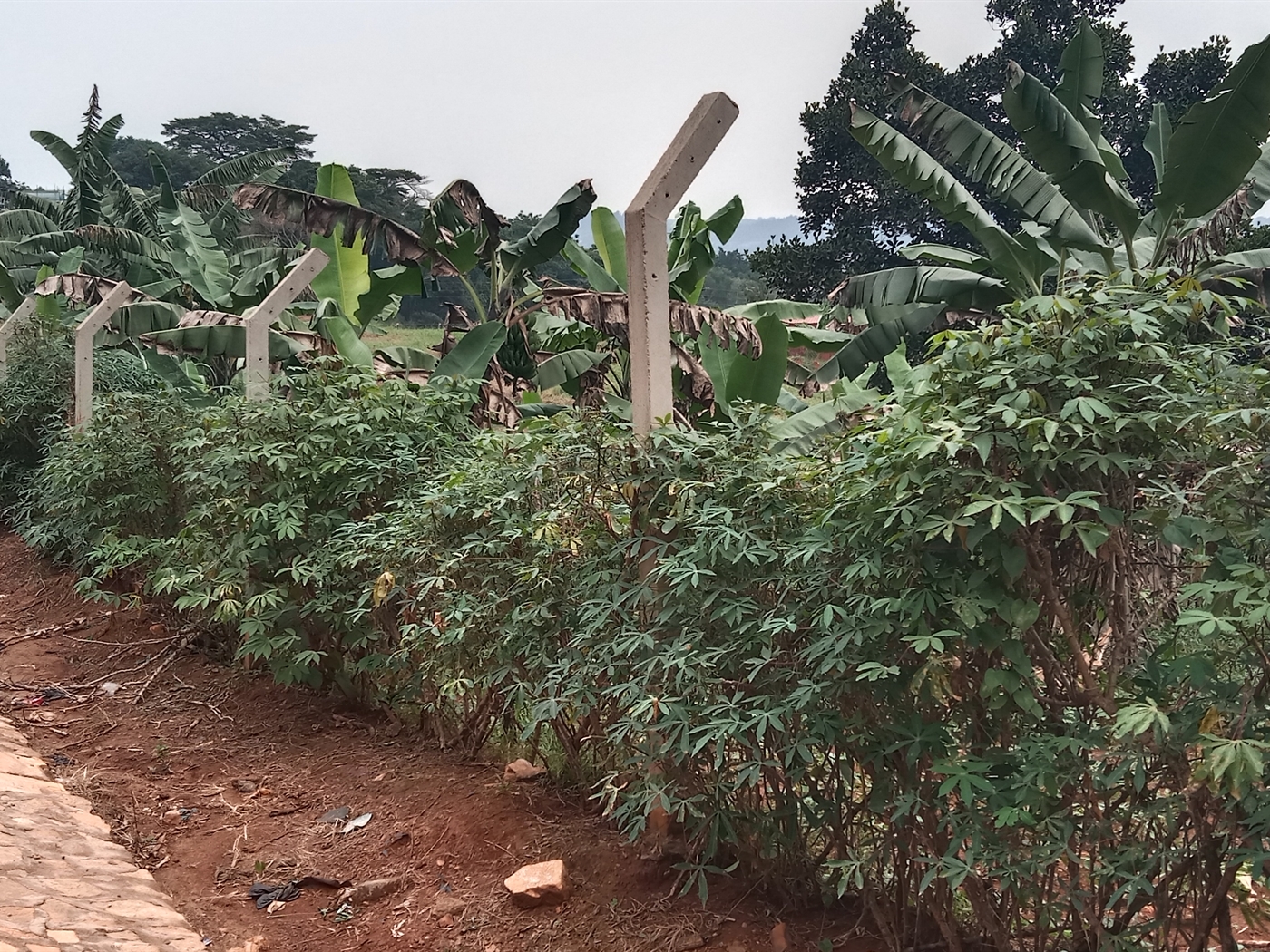 Residential land for sale in Lubowa Wakiso Uganda