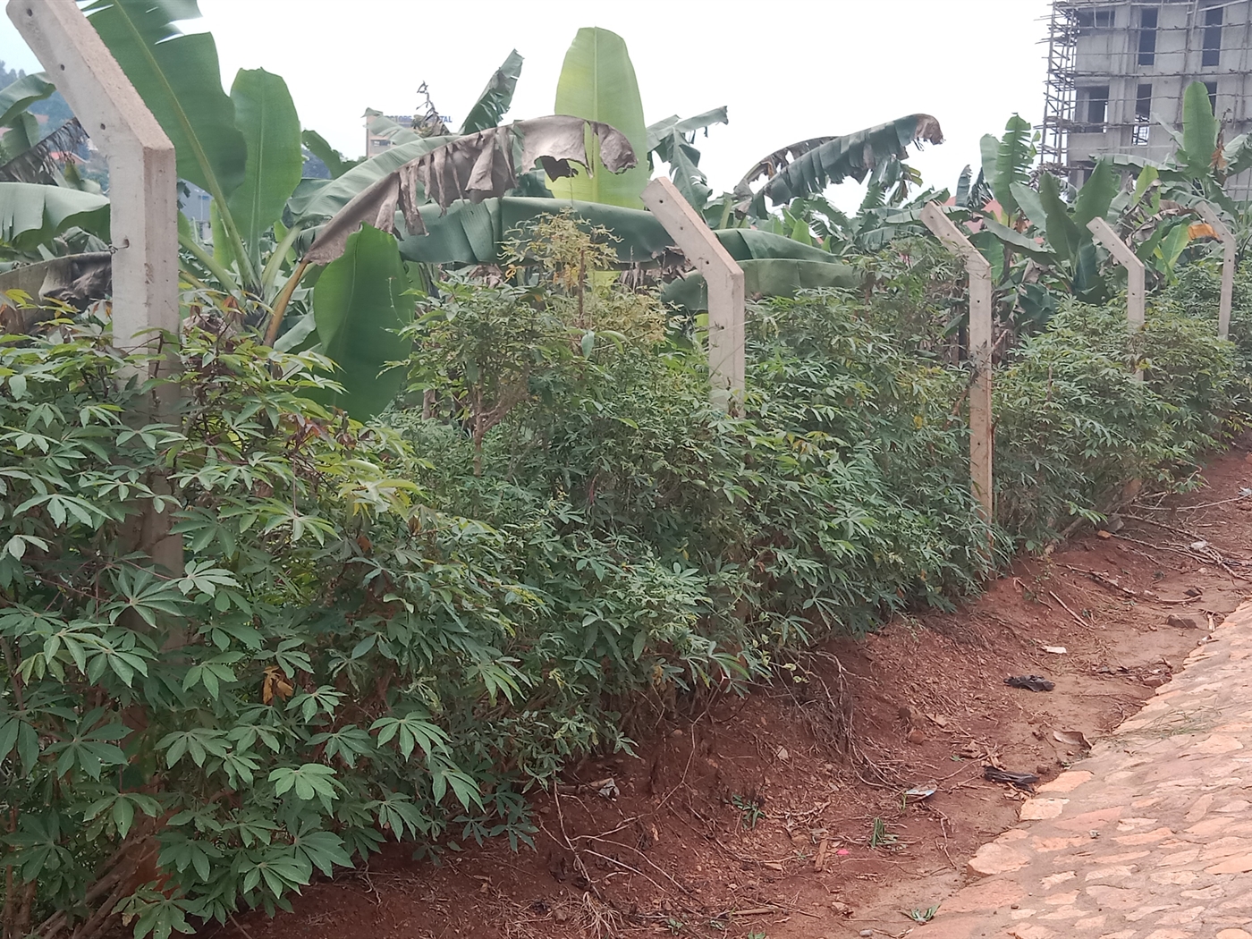 Residential land for sale in Lubowa Wakiso Uganda