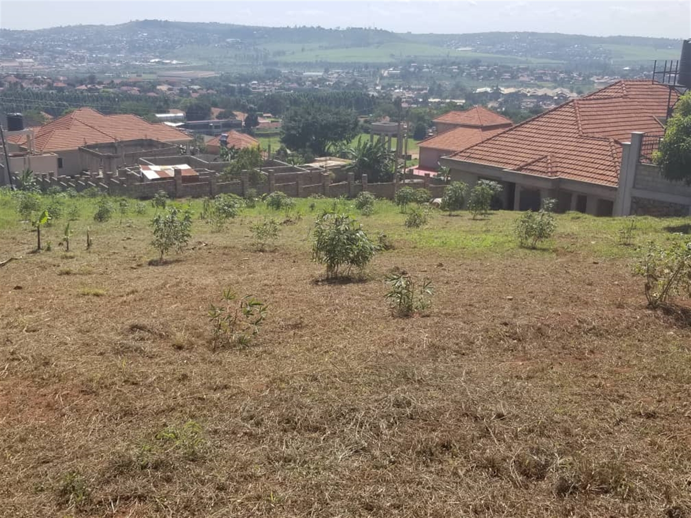 Residential land for sale in Lubowa Wakiso Uganda