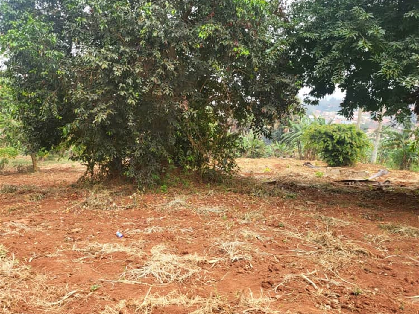 Residential land for sale in Lubowa Wakiso Uganda