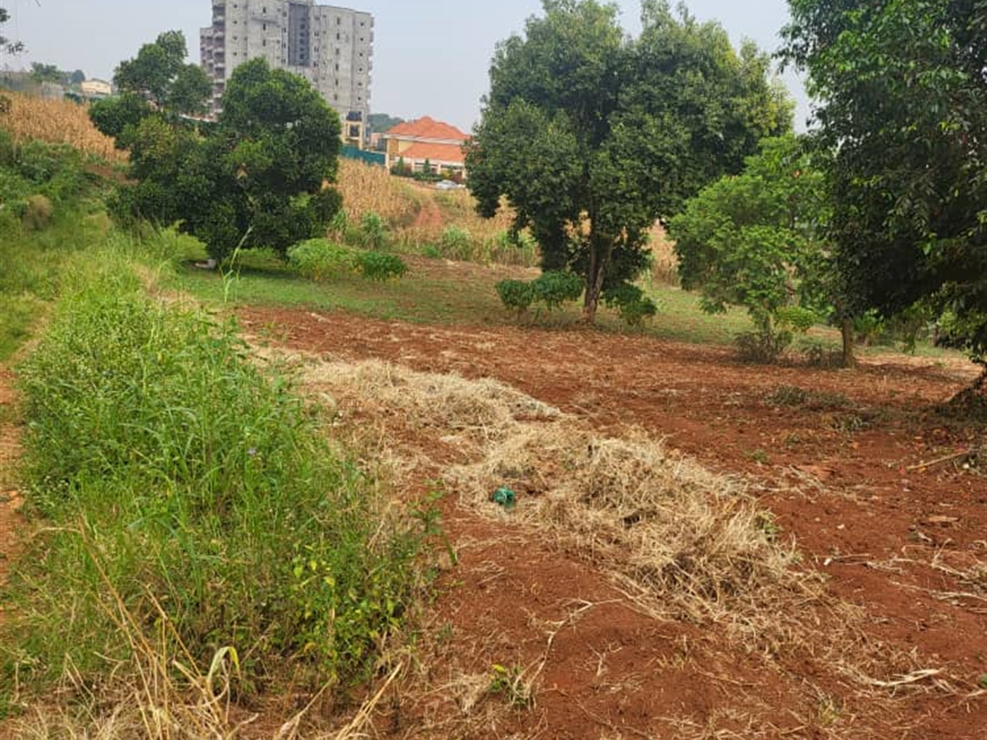 Residential land for sale in Lubowa Wakiso Uganda