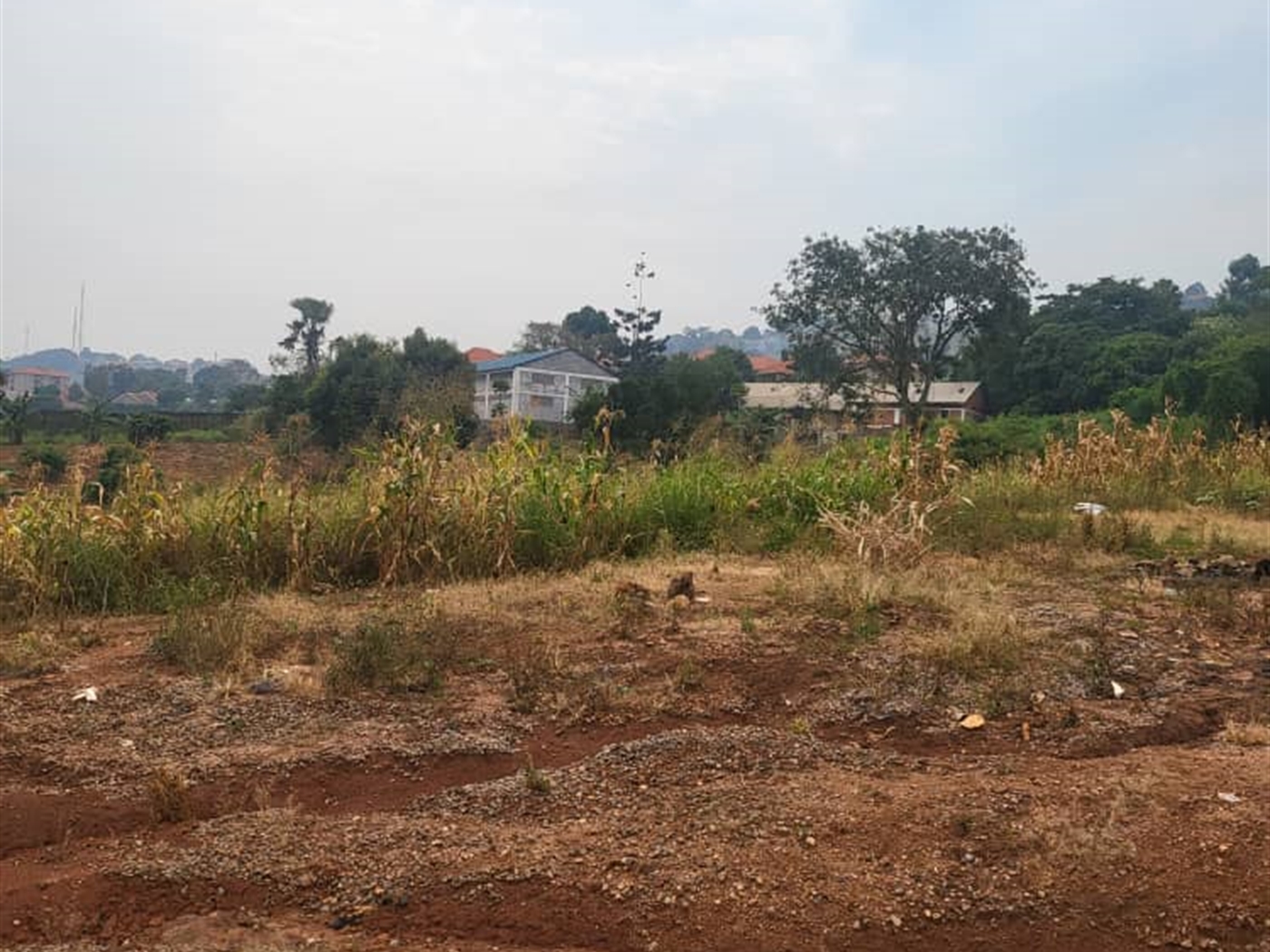 Residential land for sale in Lubowa Wakiso Uganda