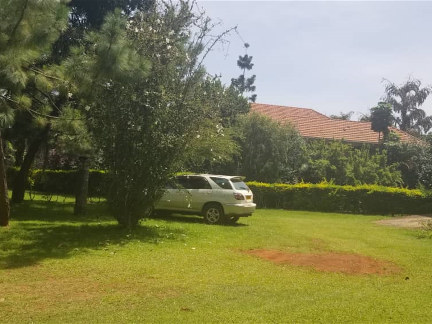 Residential land for sale in Lubowa Wakiso Uganda