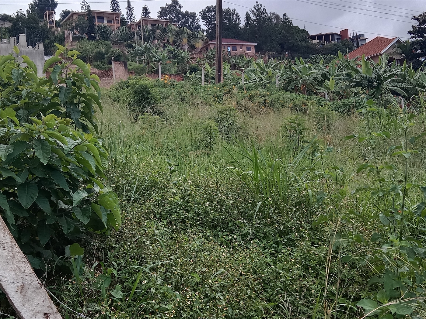 Residential land for sale in Lubowa Wakiso Uganda