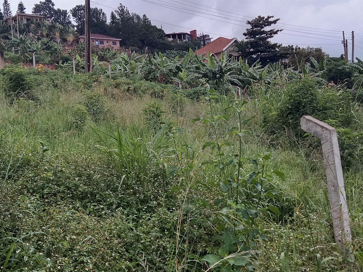 Residential land for sale in Lubowa Wakiso Uganda