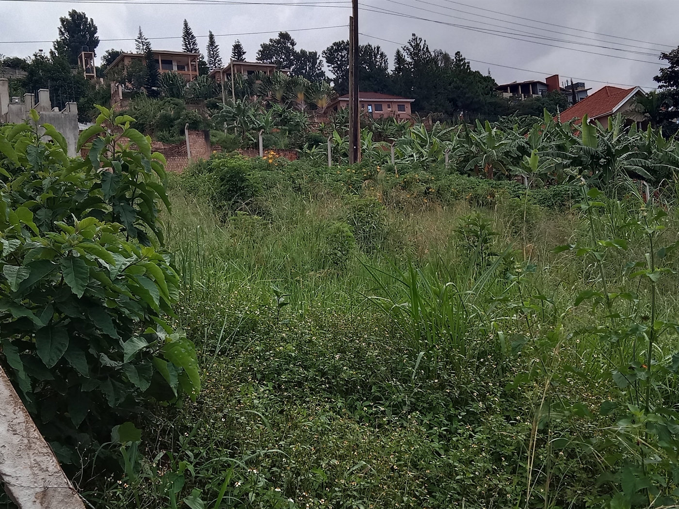 Residential land for sale in Lubowa Wakiso Uganda