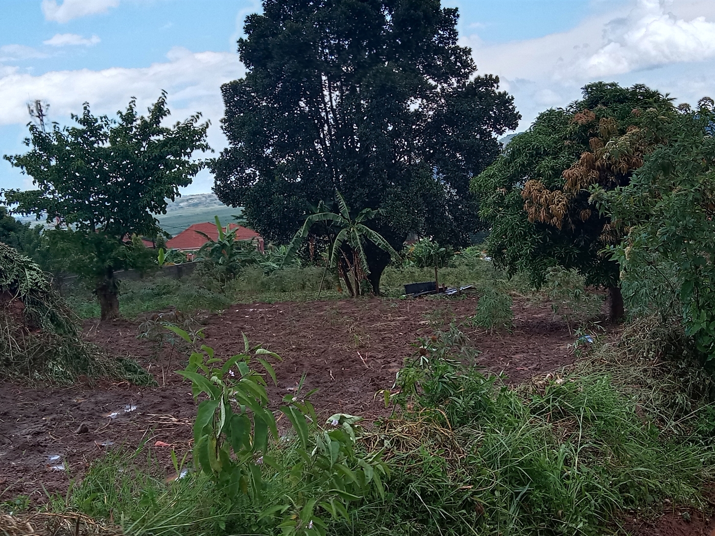 Residential land for sale in Lubowa Wakiso Uganda