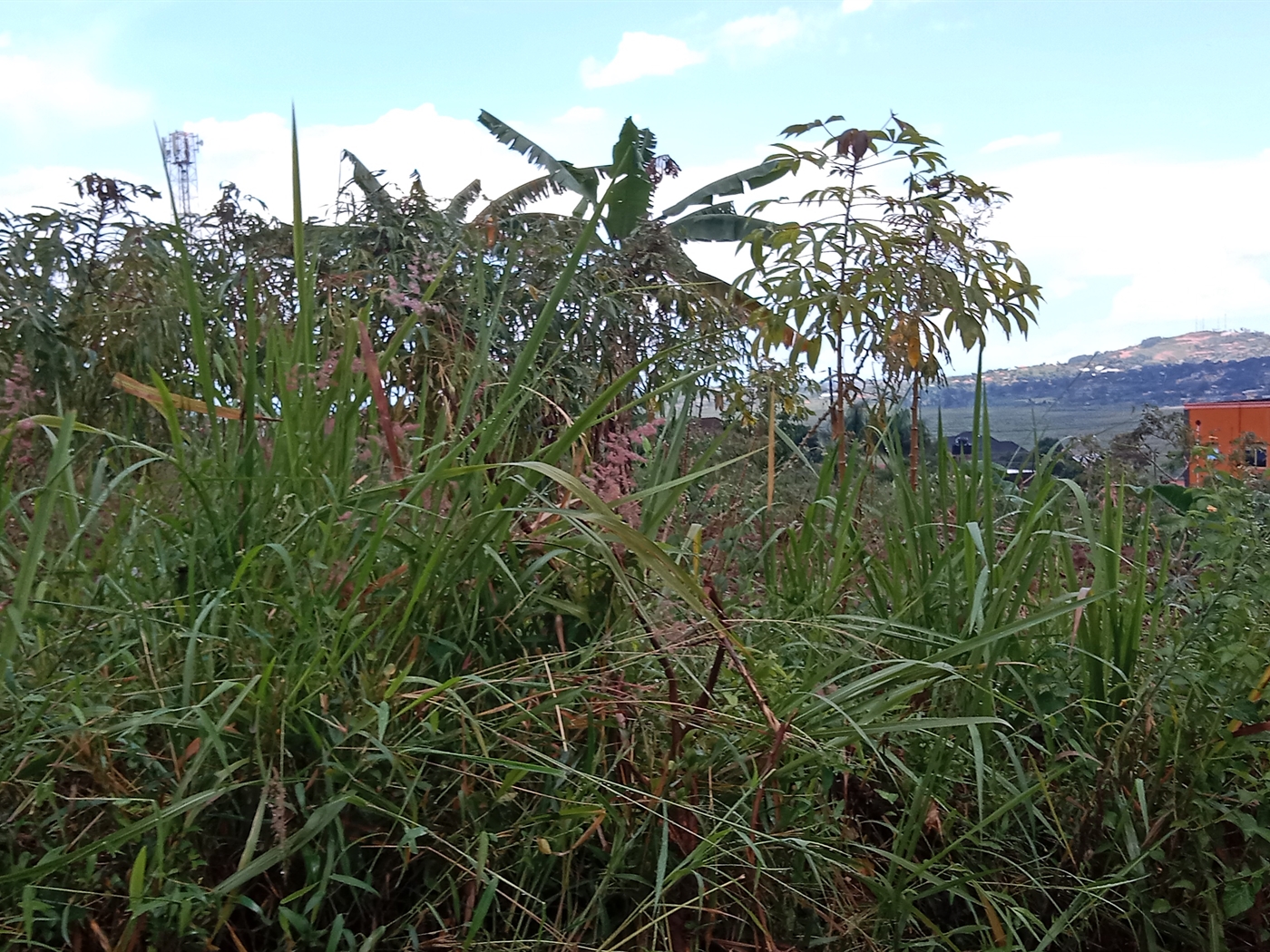 Residential land for sale in Lubowa Wakiso Uganda