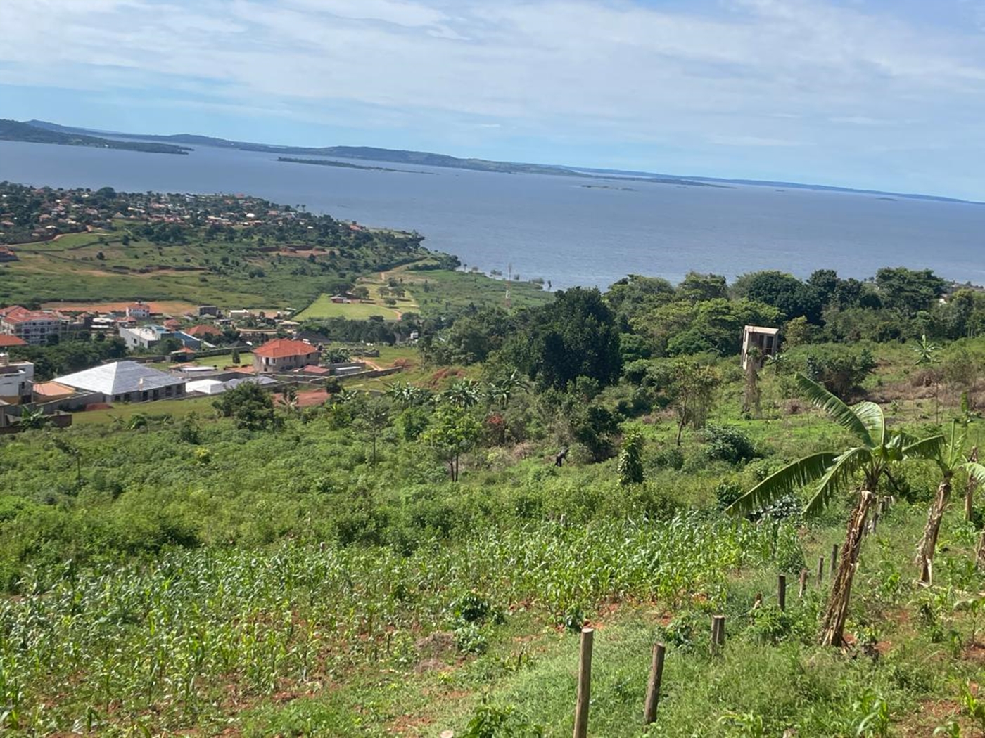 Residential land for sale in Kigo Wakiso Uganda