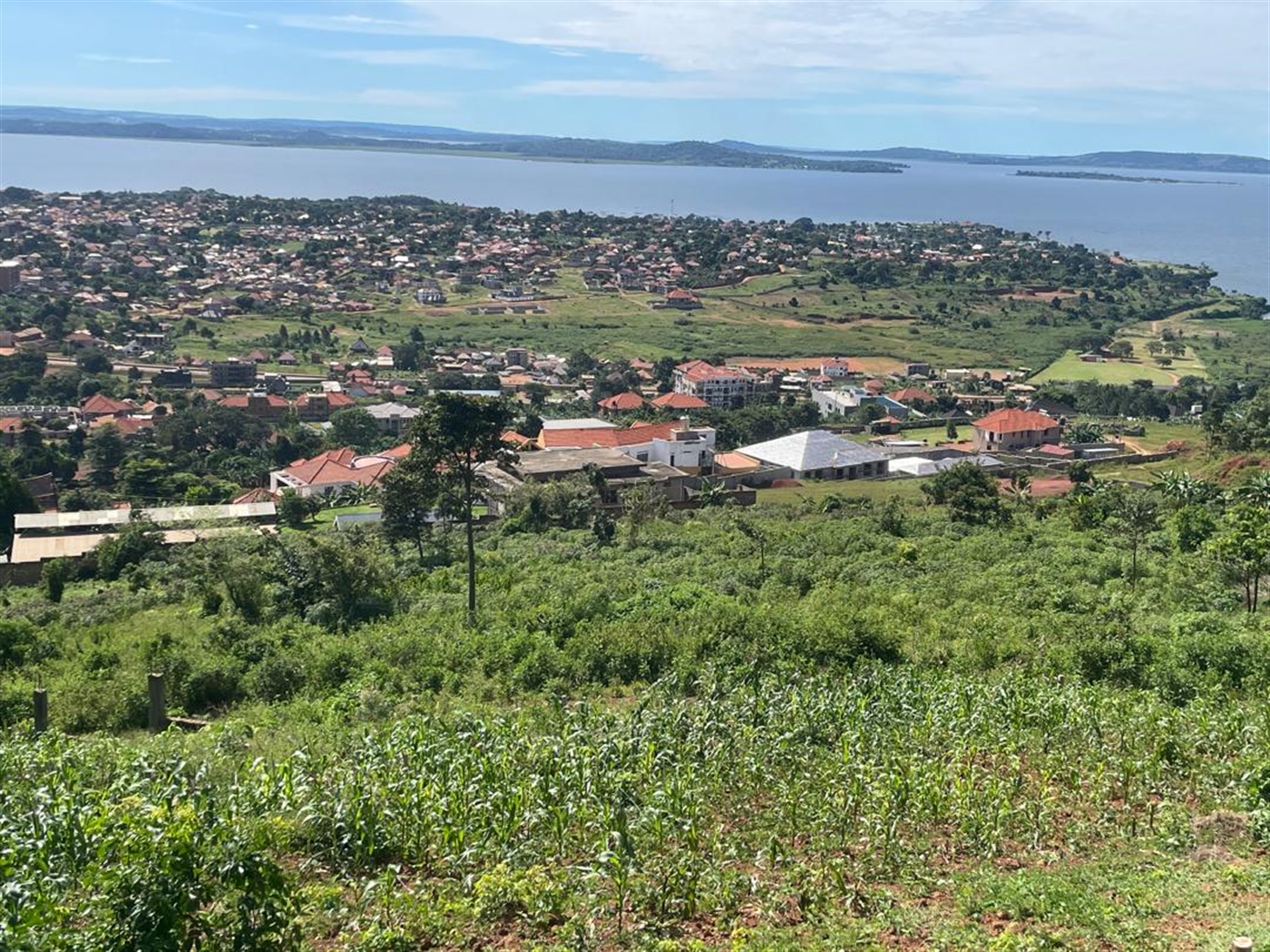 Residential land for sale in Kigo Wakiso Uganda