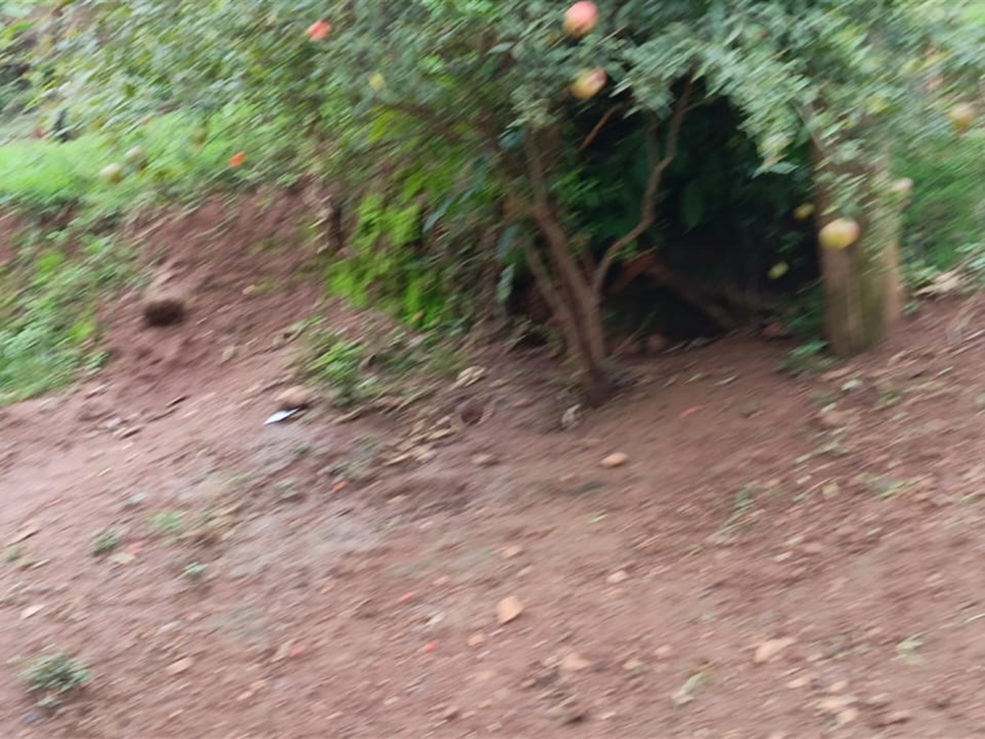 Residential land for sale in Kigo Wakiso Uganda