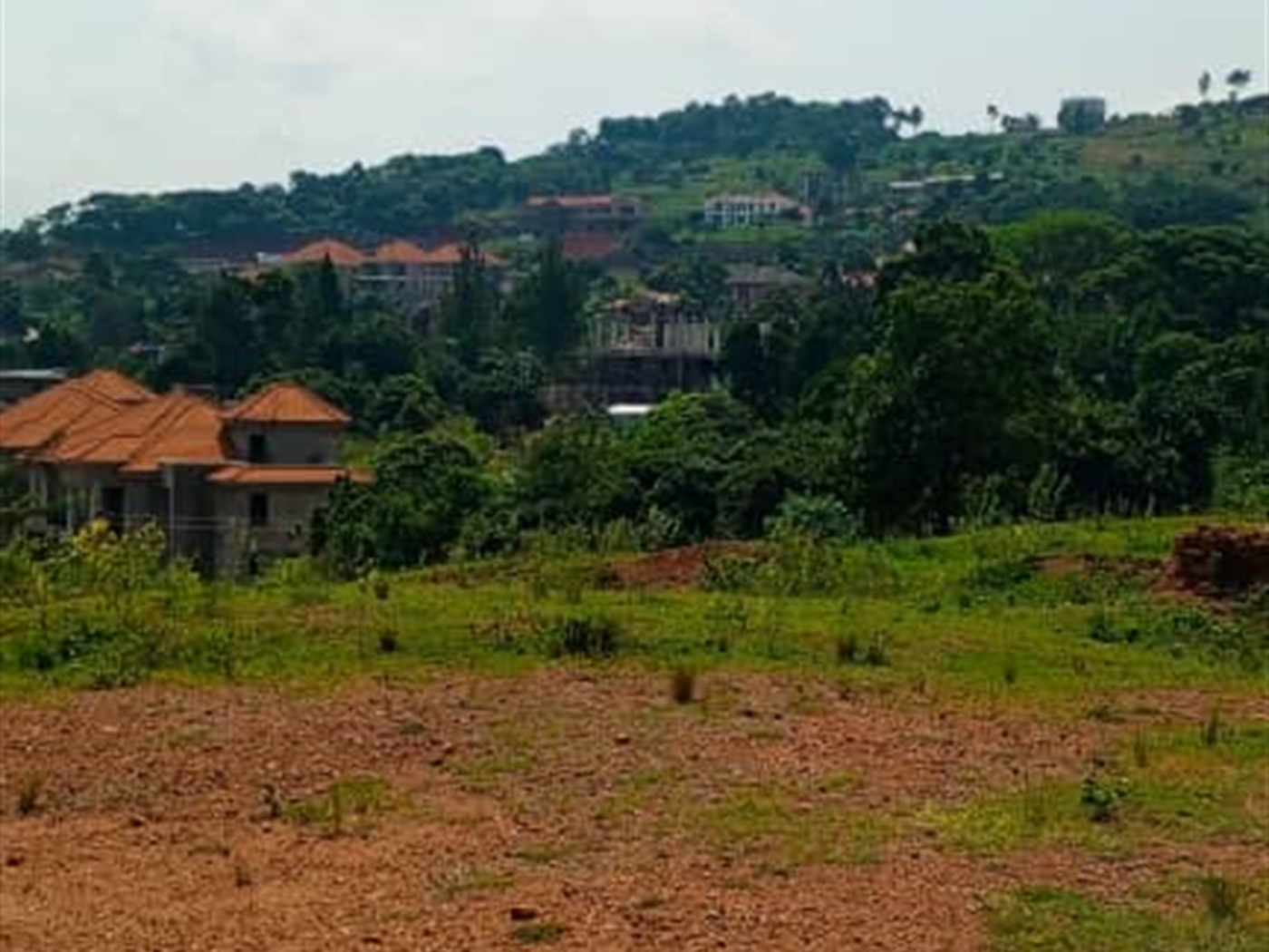 Residential land for sale in Kigo Wakiso Uganda
