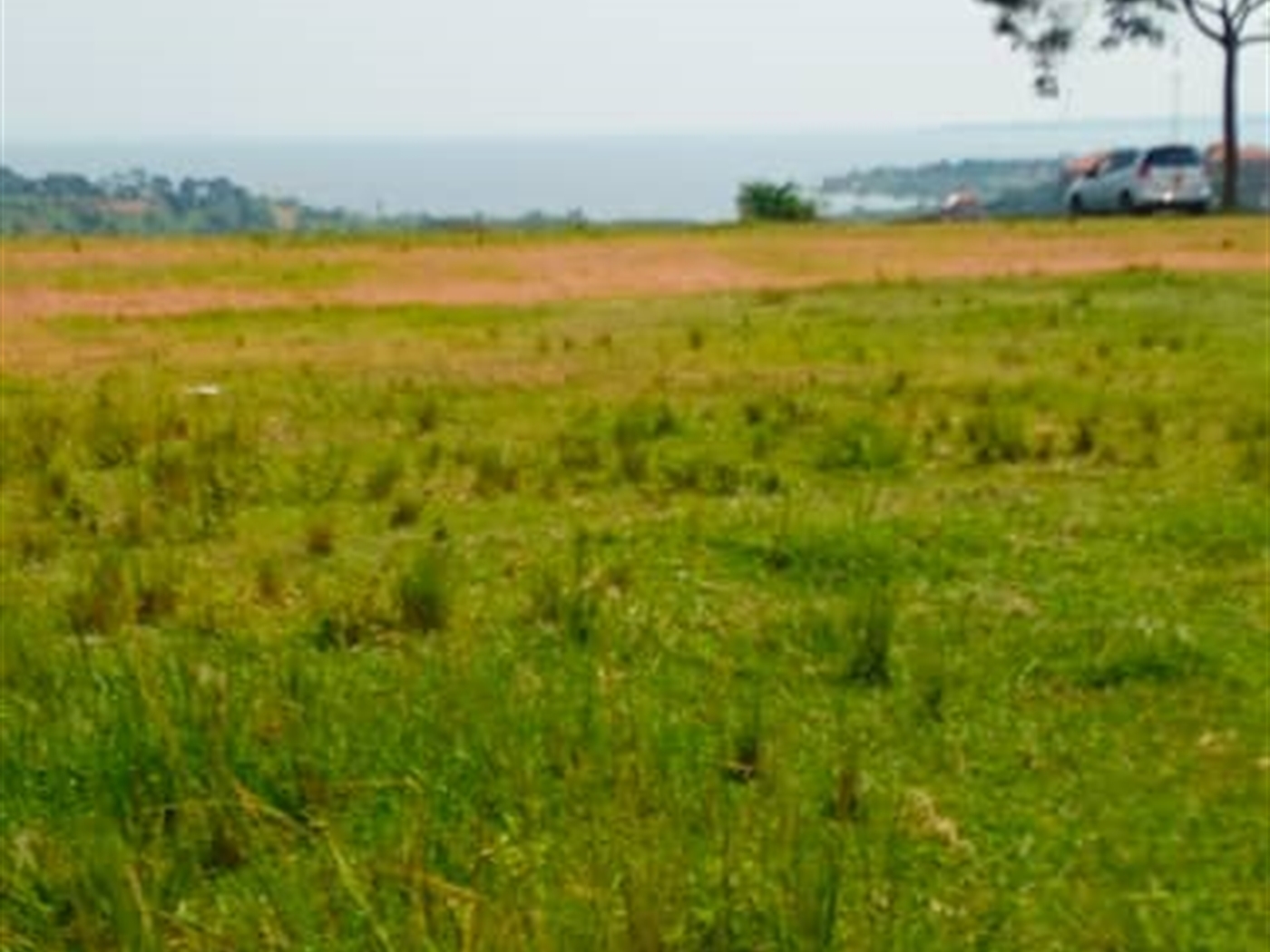 Residential land for sale in Kigo Wakiso Uganda