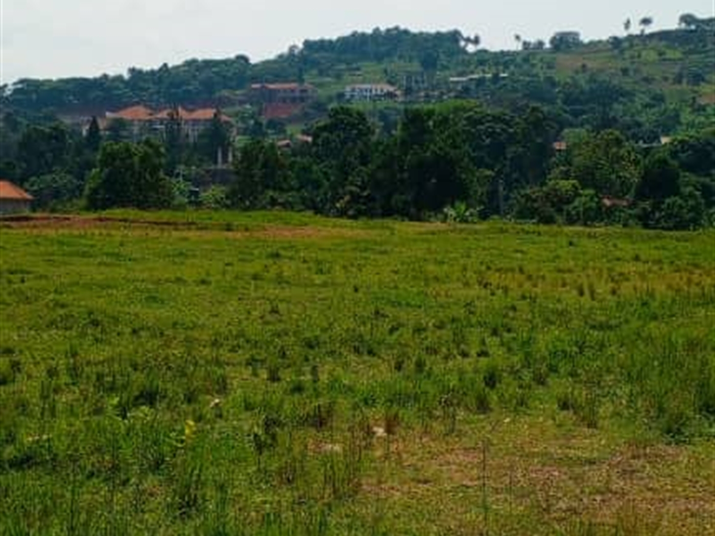 Residential land for sale in Kigo Wakiso Uganda