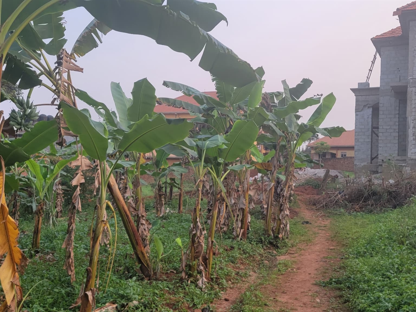 Residential land for sale in Kulambilo Wakiso Uganda