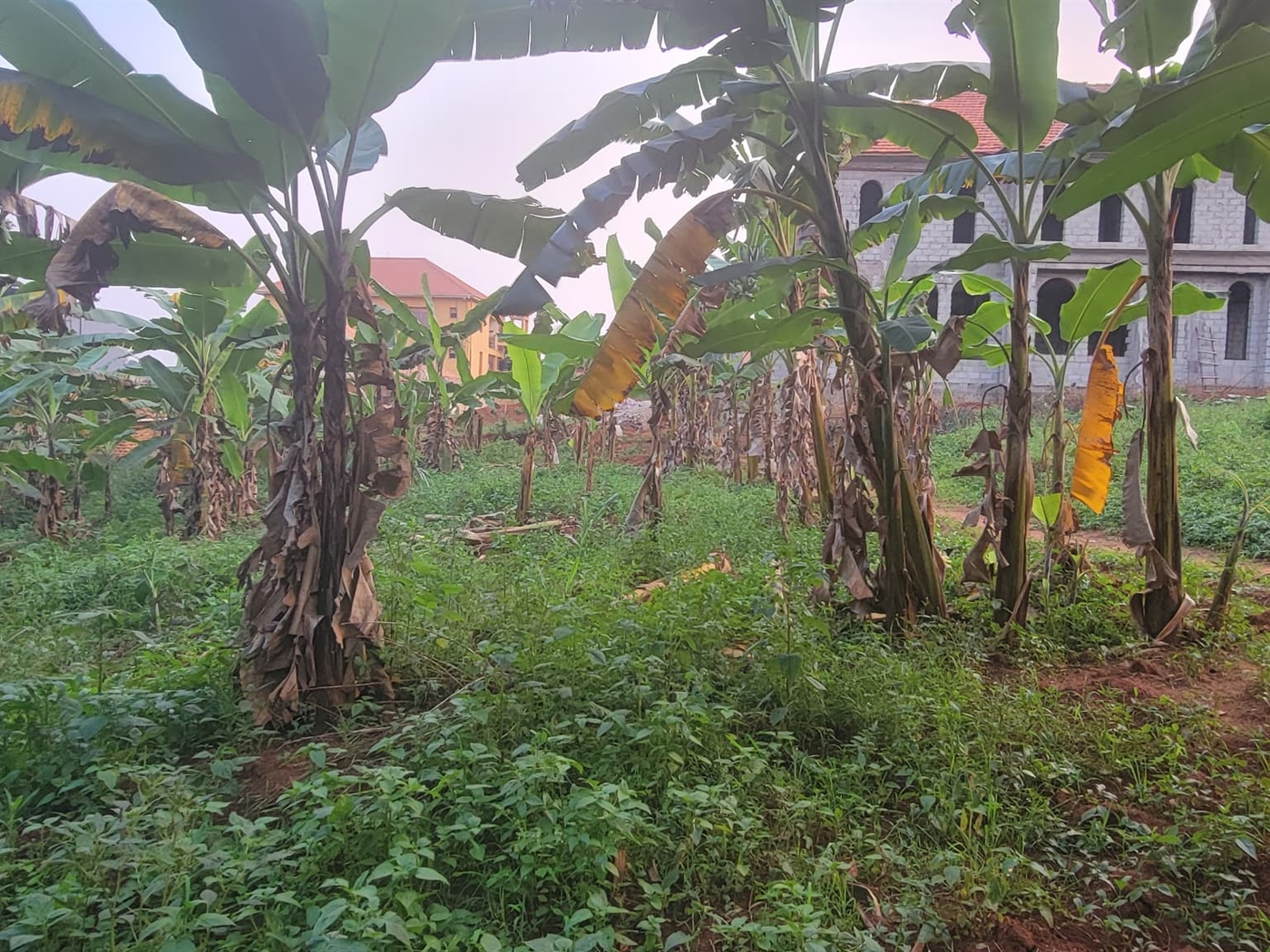 Residential land for sale in Kulambilo Wakiso Uganda