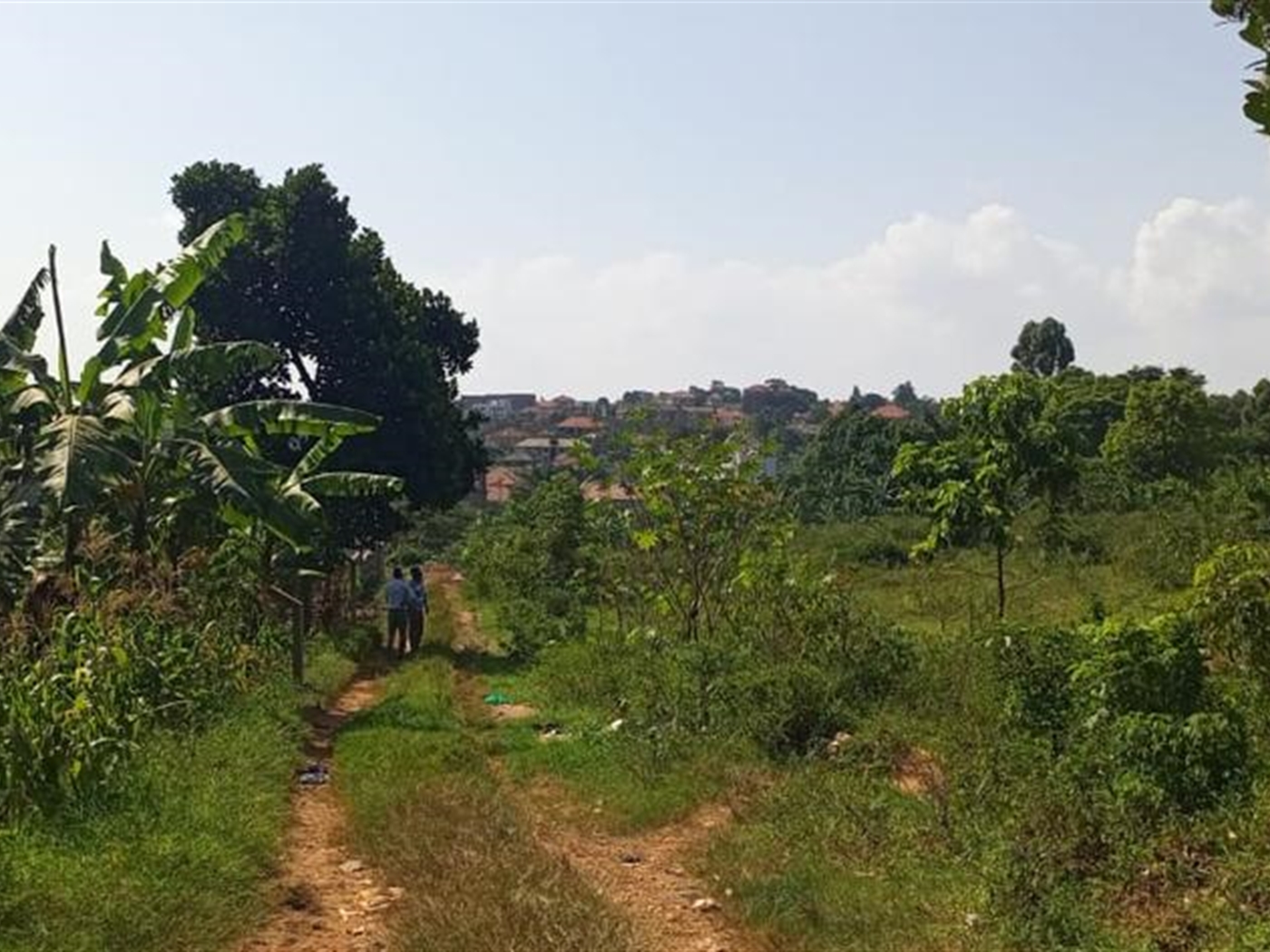 Residential land for sale in Kulambilo Kampala Uganda