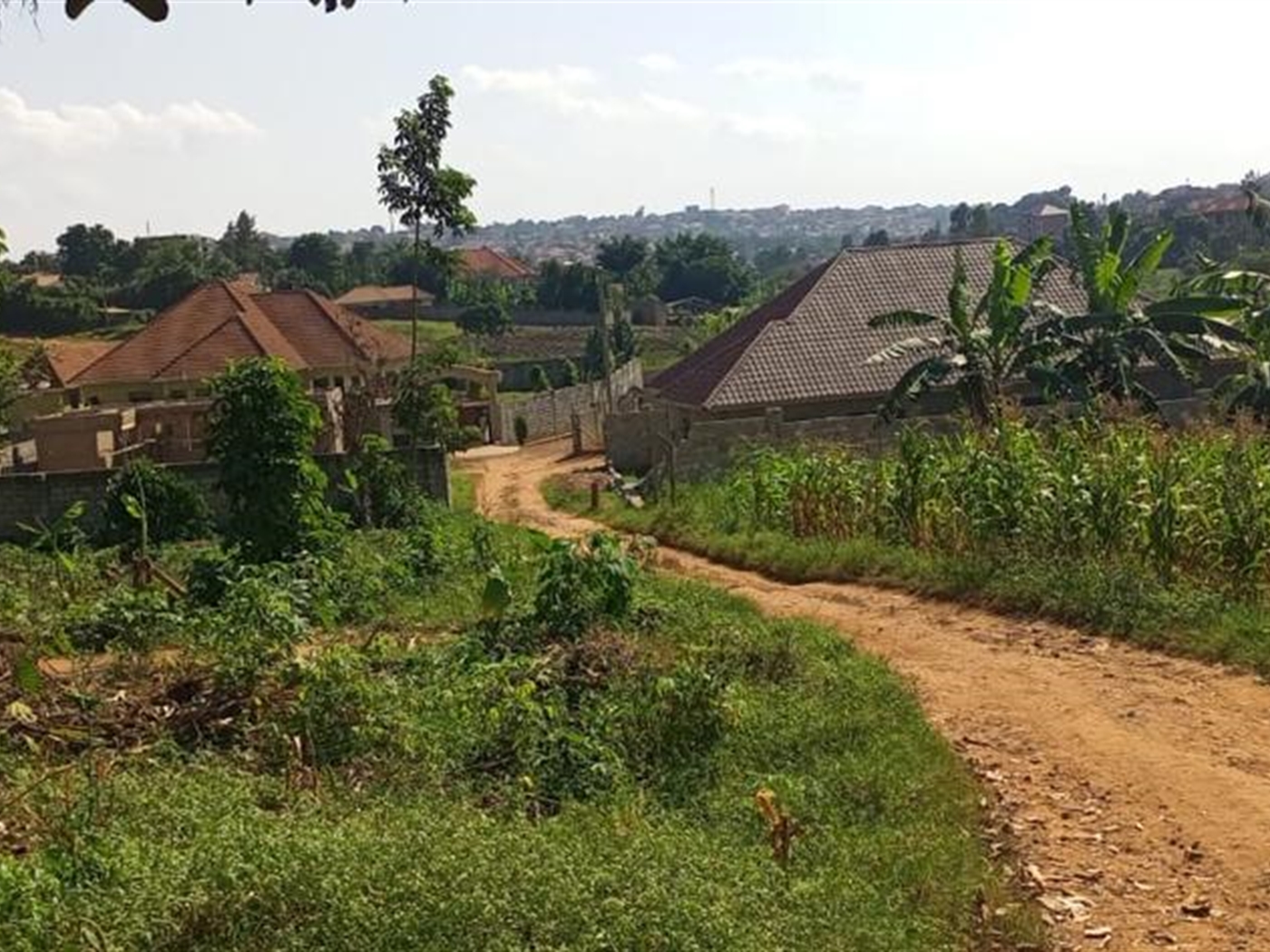 Residential land for sale in Kulambilo Kampala Uganda