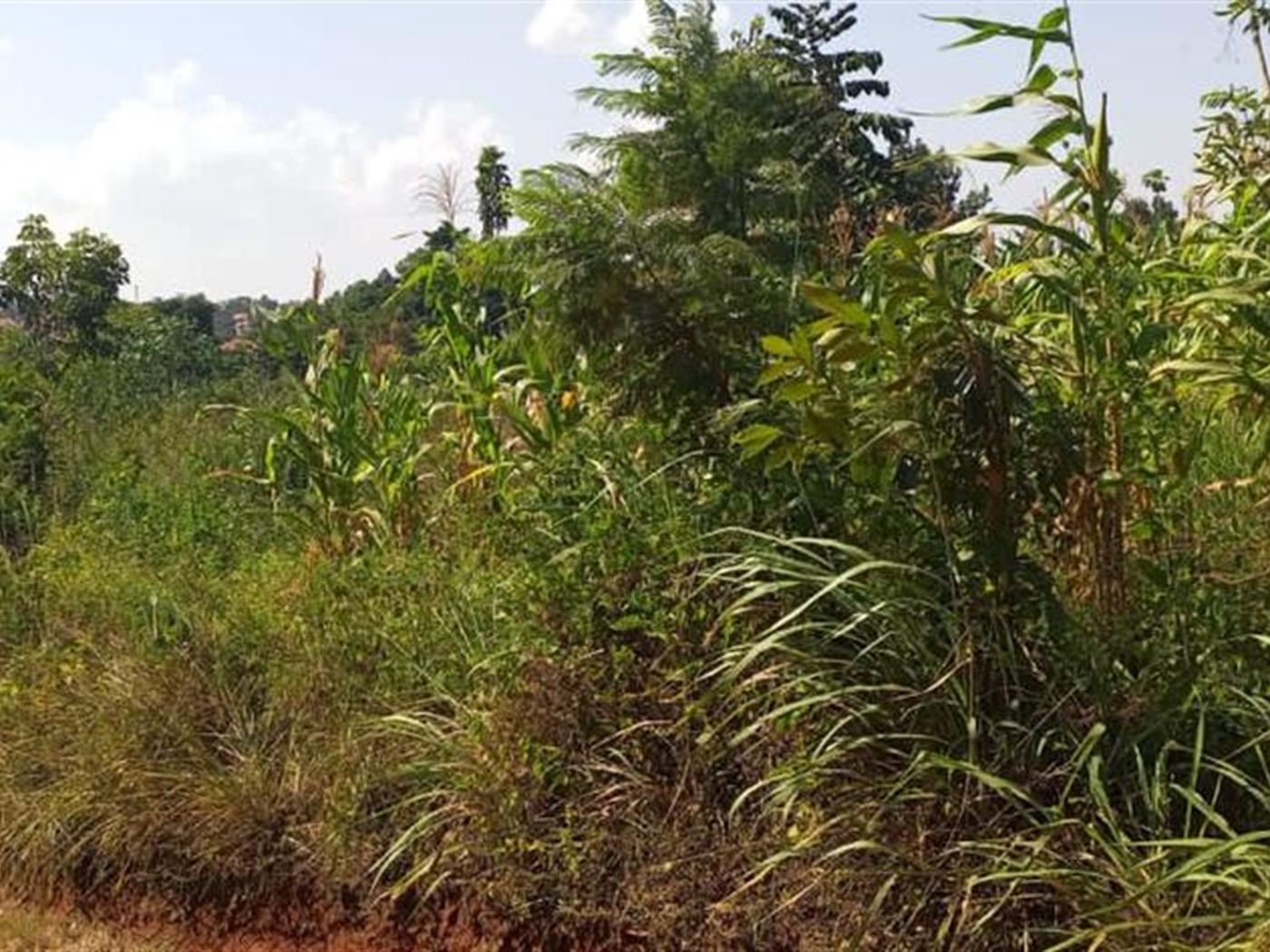 Residential land for sale in Kulambilo Kampala Uga...