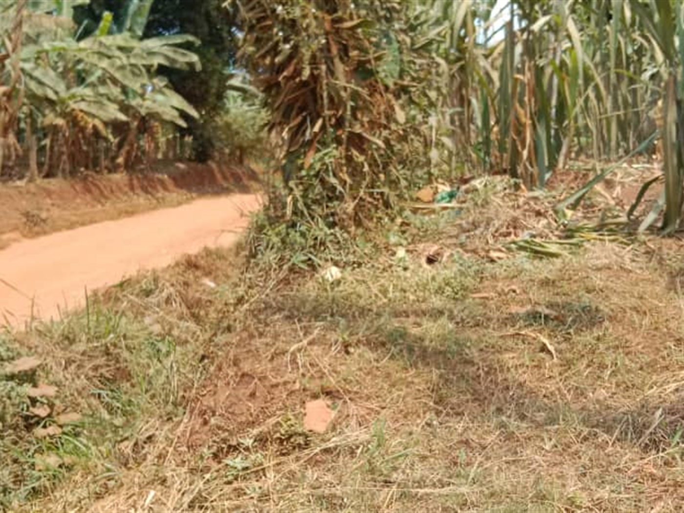 Residential land for sale in Zana Wakiso Uganda