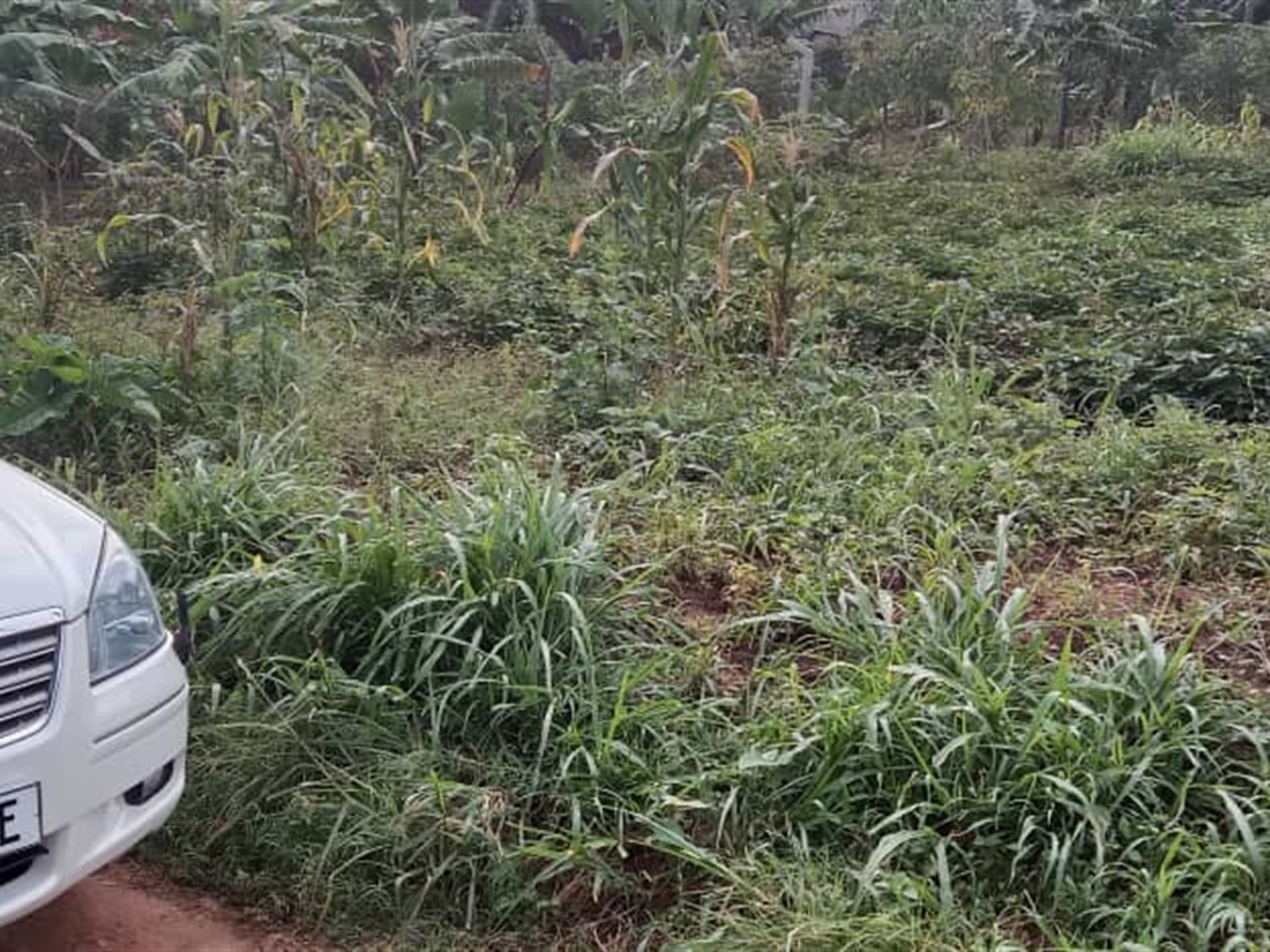 Residential land for sale in Zana Wakiso Uganda