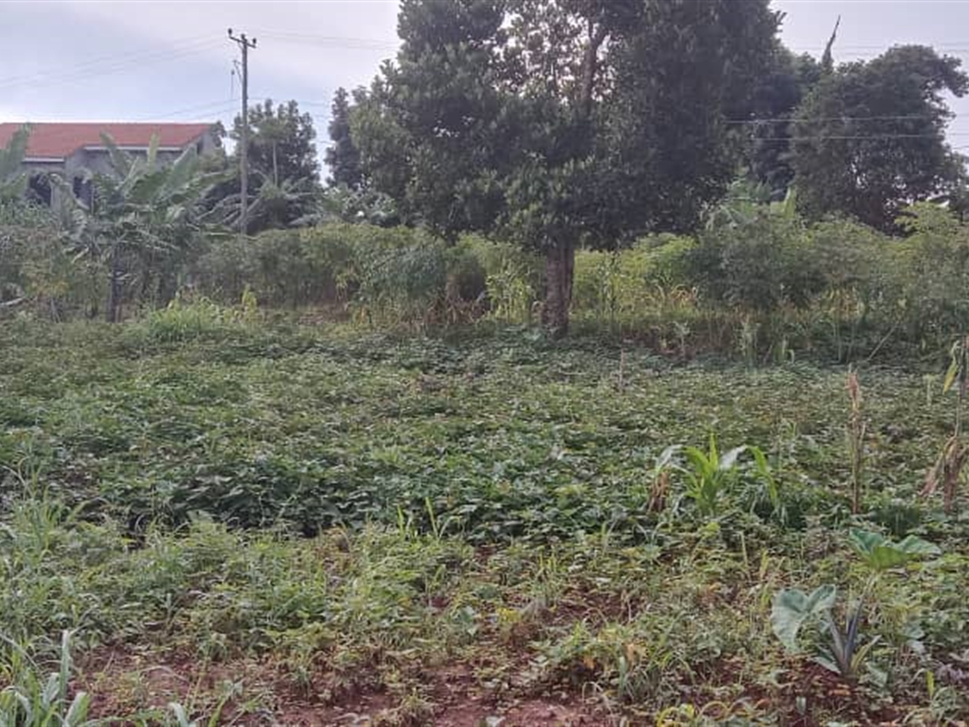 Residential land for sale in Zana Wakiso Uganda