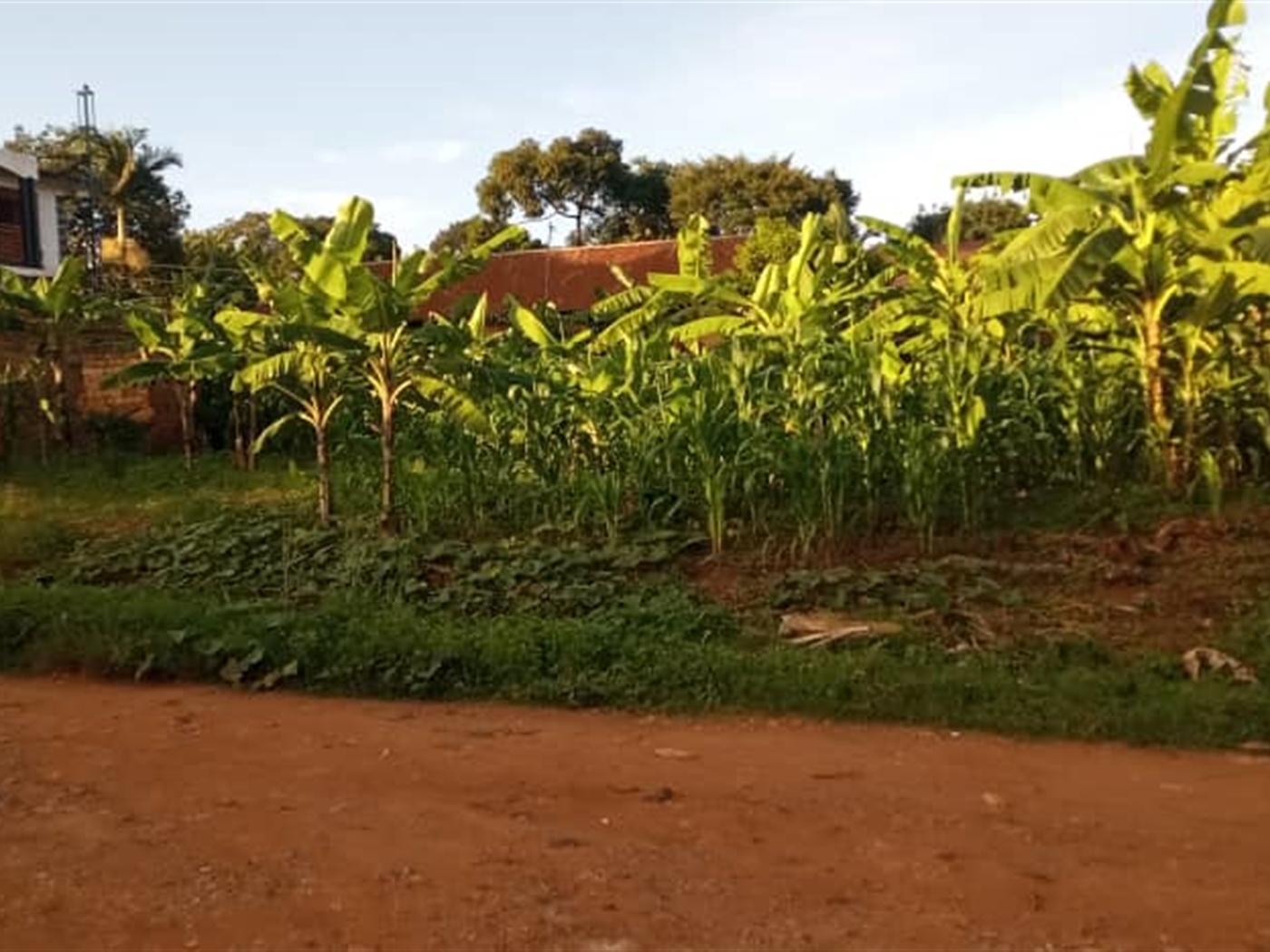 Residential land for sale in Zana Wakiso Uganda