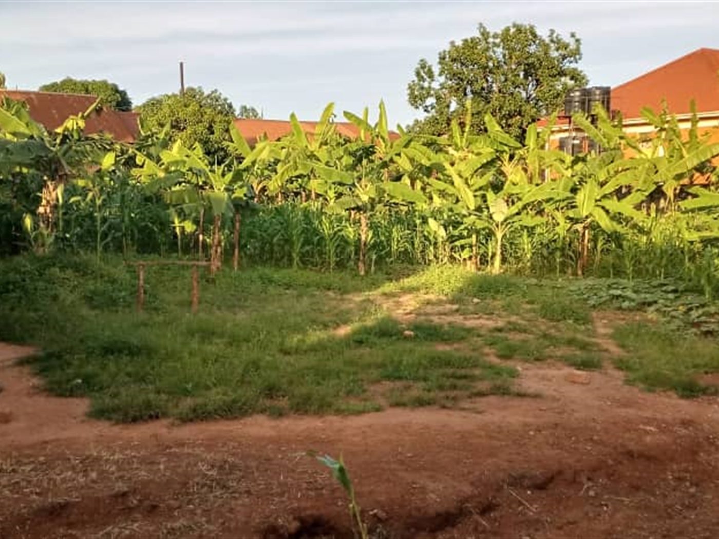 Residential land for sale in Zana Wakiso Uganda