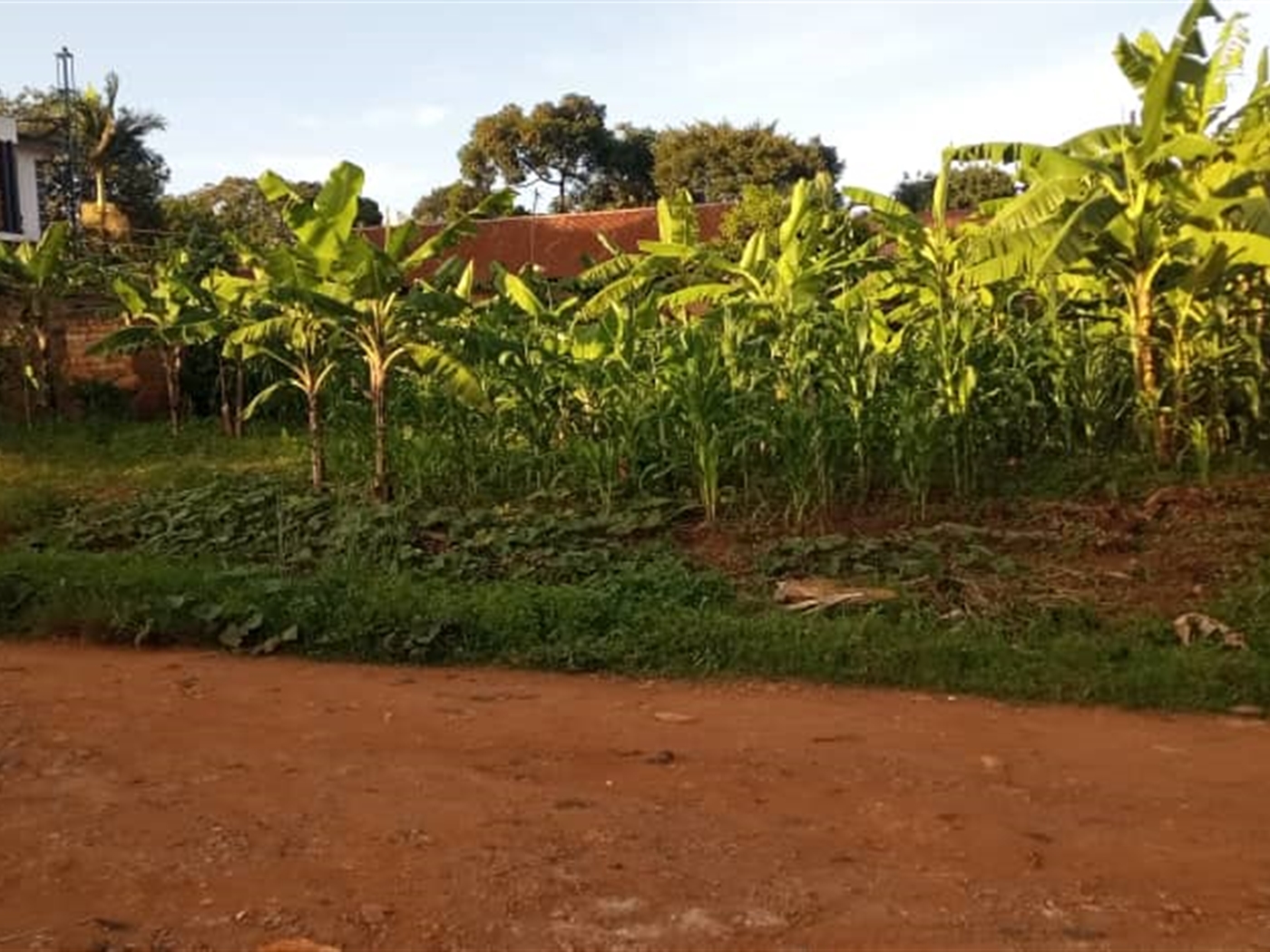 Residential land for sale in Zana Wakiso Uganda