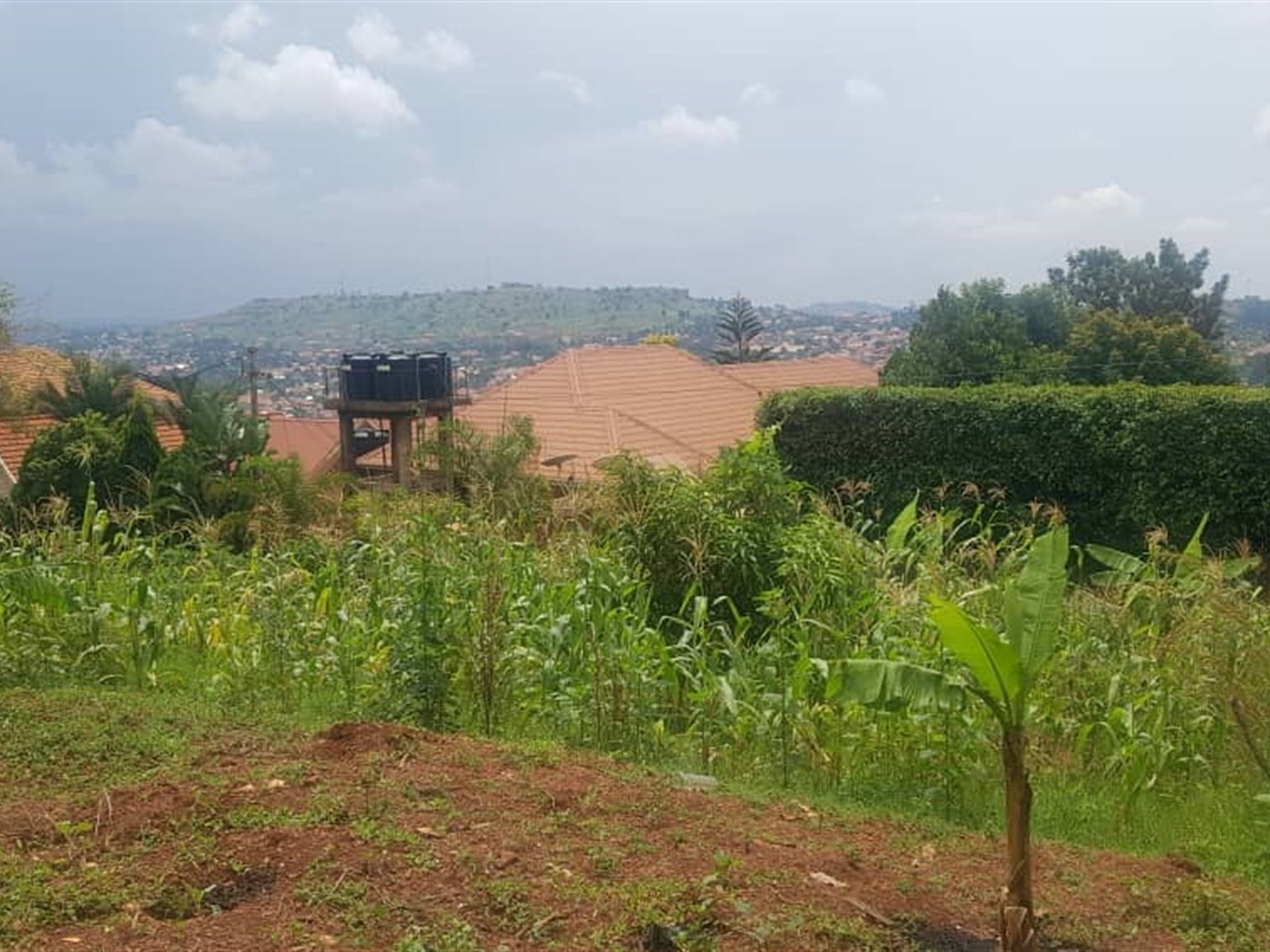 Residential land for sale in Nalumunye Wakiso Uganda