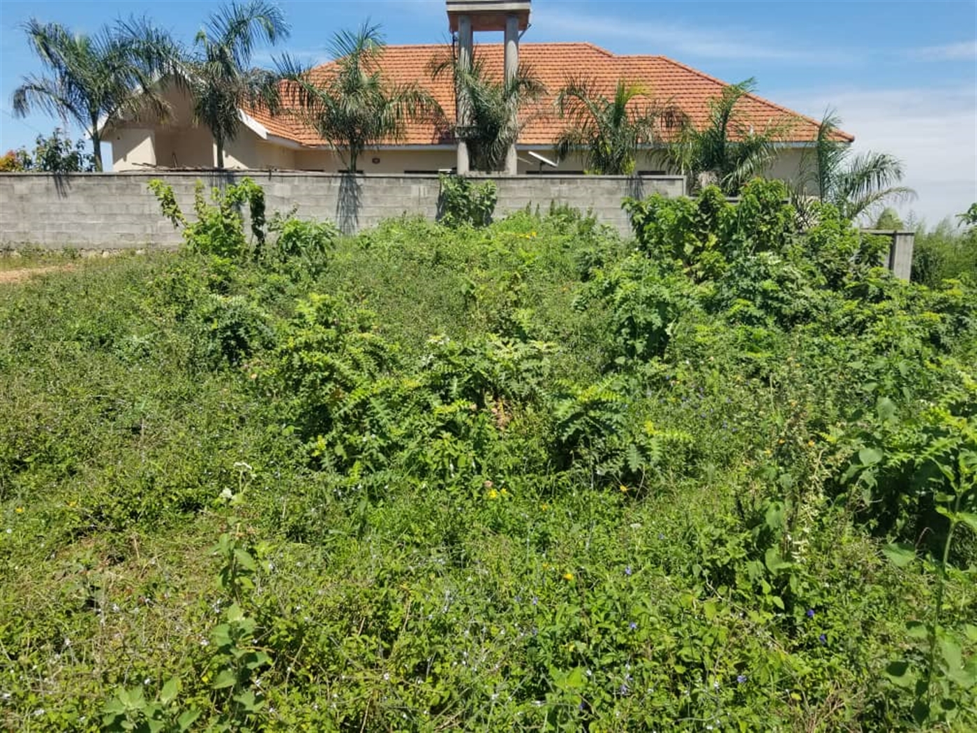 Residential land for sale in Nalumunye Wakiso Uganda