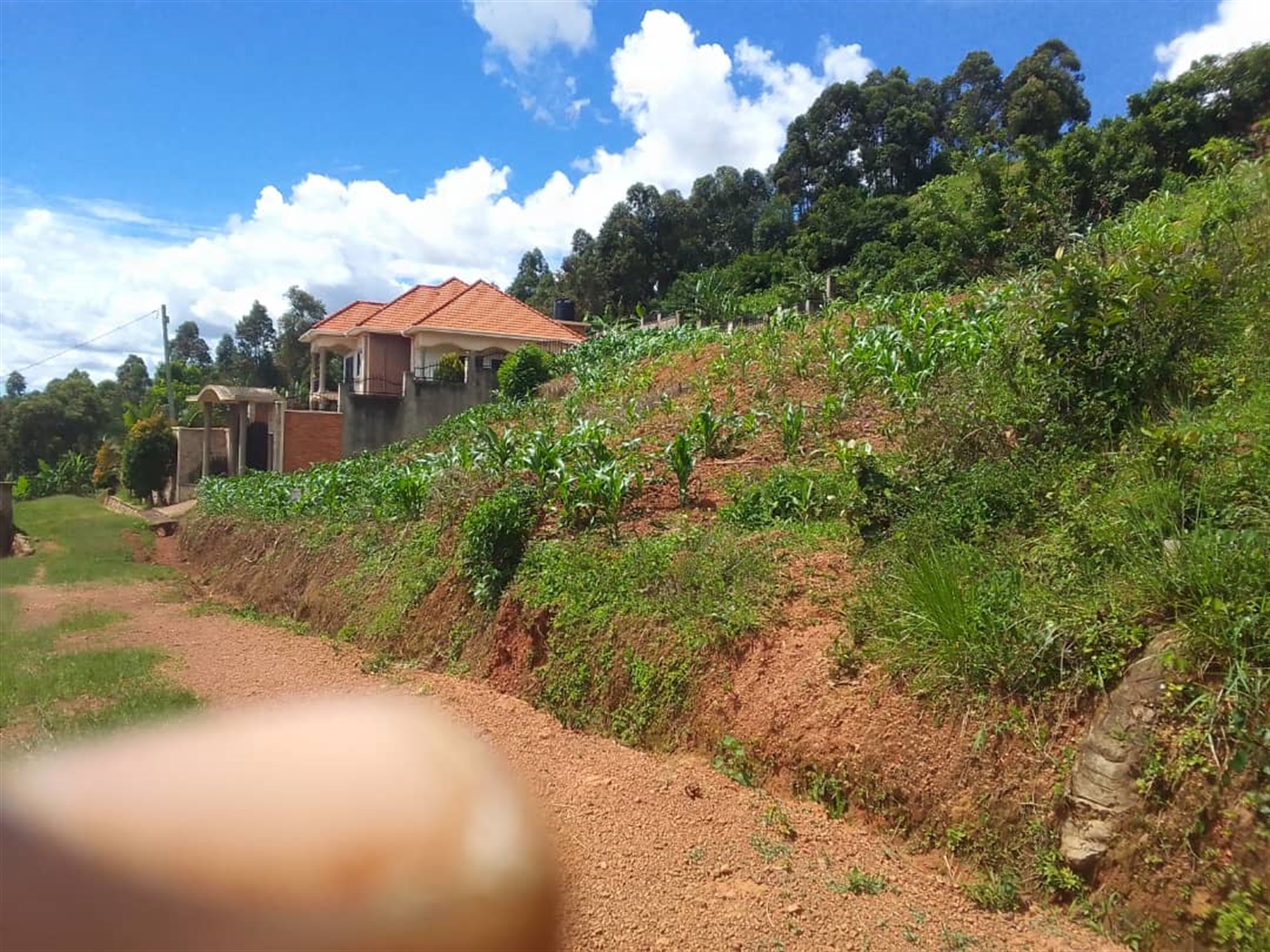 Residential land for sale in Nalumunye Wakiso Uganda