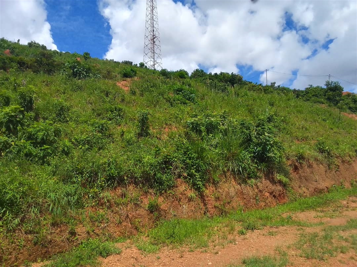 Residential land for sale in Nalumunye Wakiso Uganda