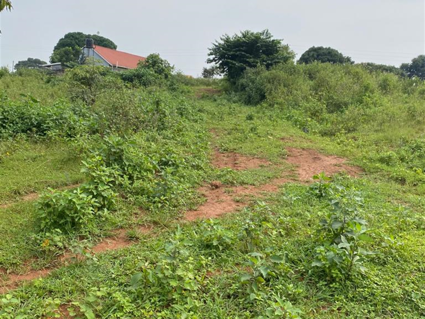Residential land for sale in Katabi Wakiso Uganda