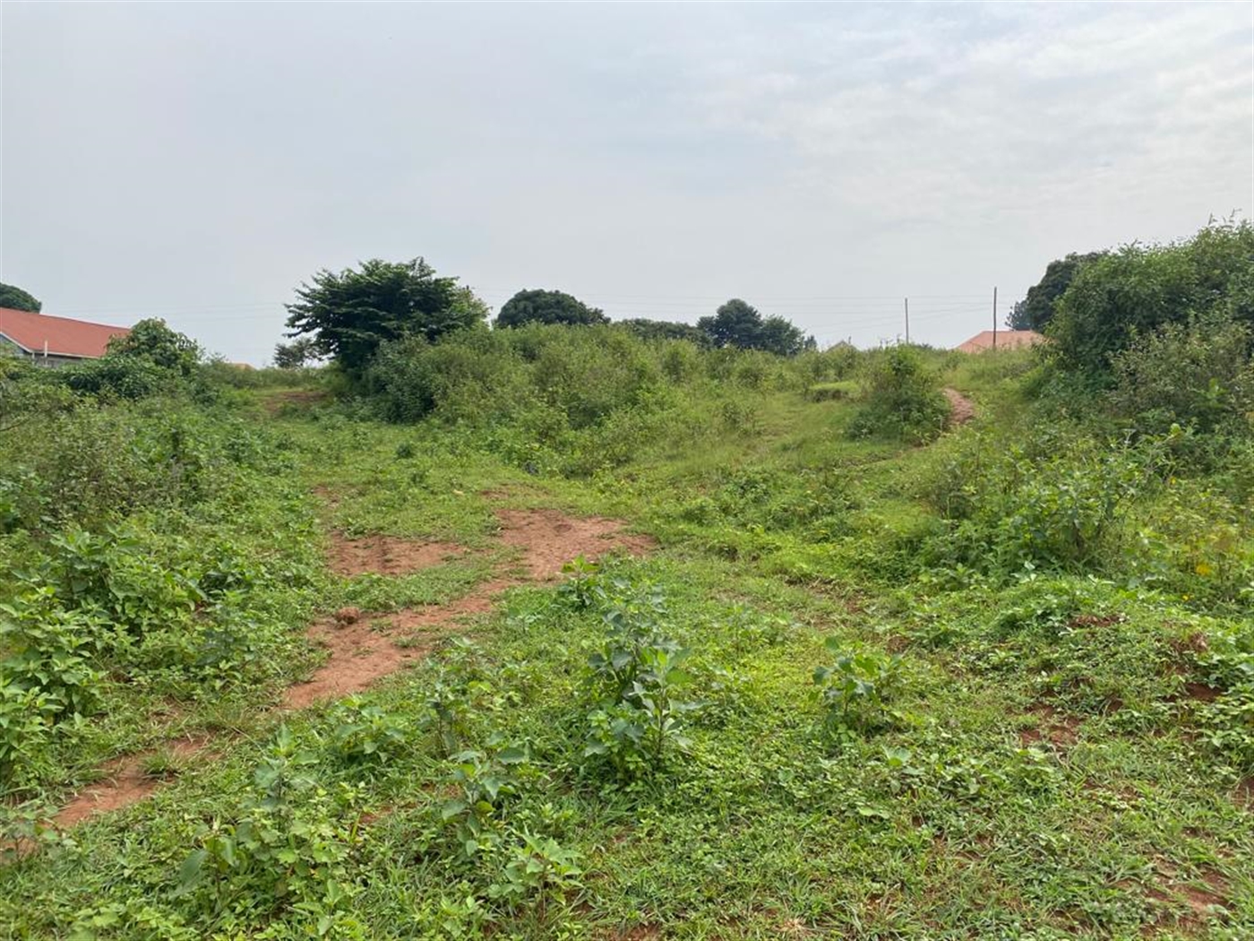 Residential land for sale in Katabi Wakiso Uganda