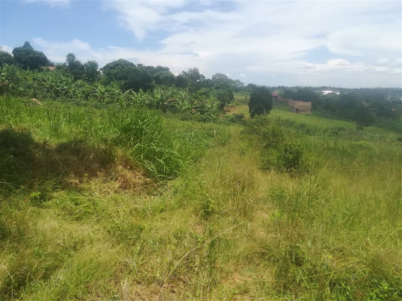 Residential land for sale in Kakiri Wakiso Uganda