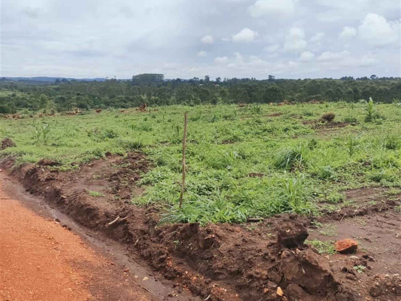 Residential land for sale in Kakiri Wakiso Uganda