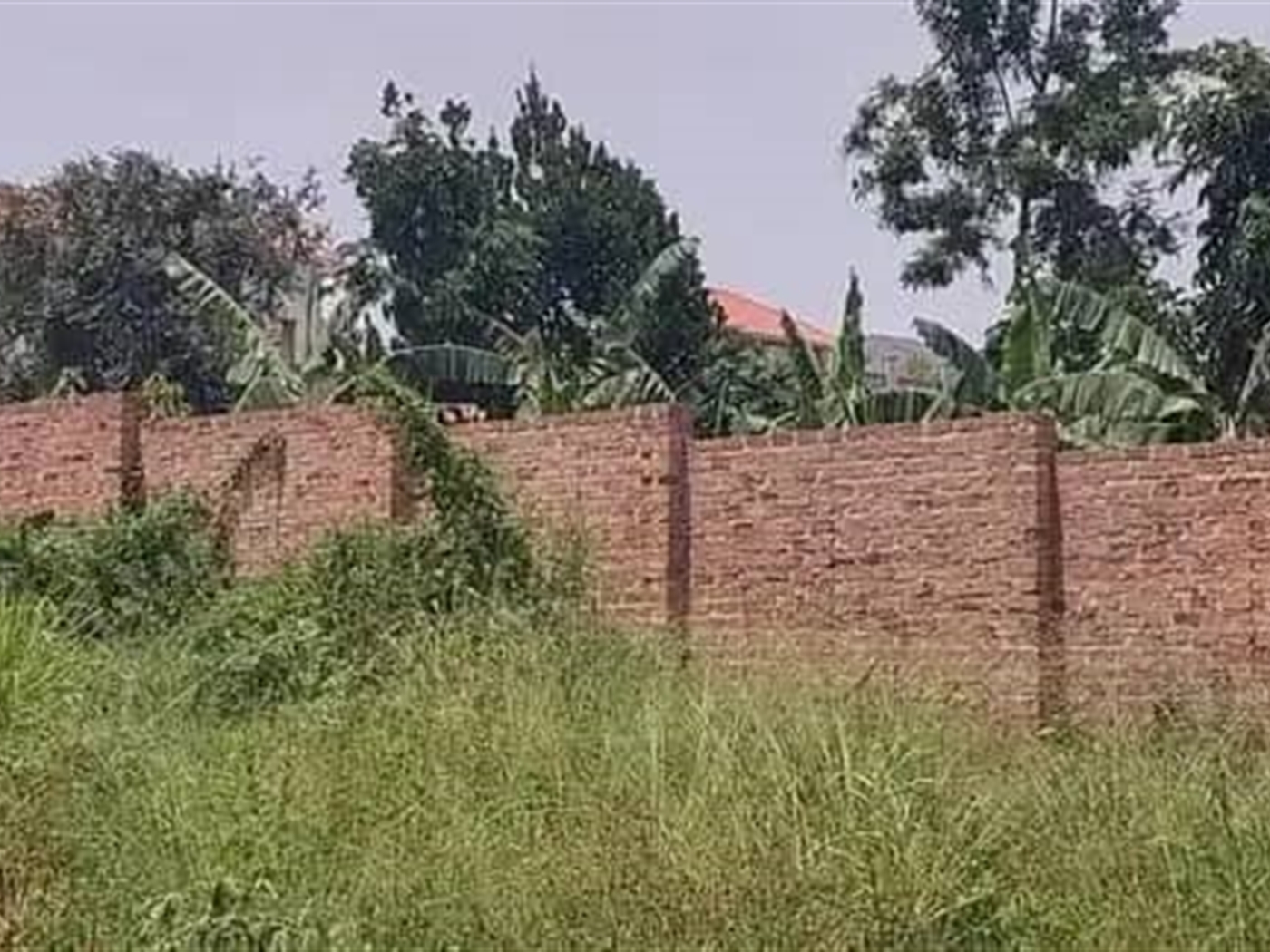 Residential land for sale in Kakiri Wakiso Uganda