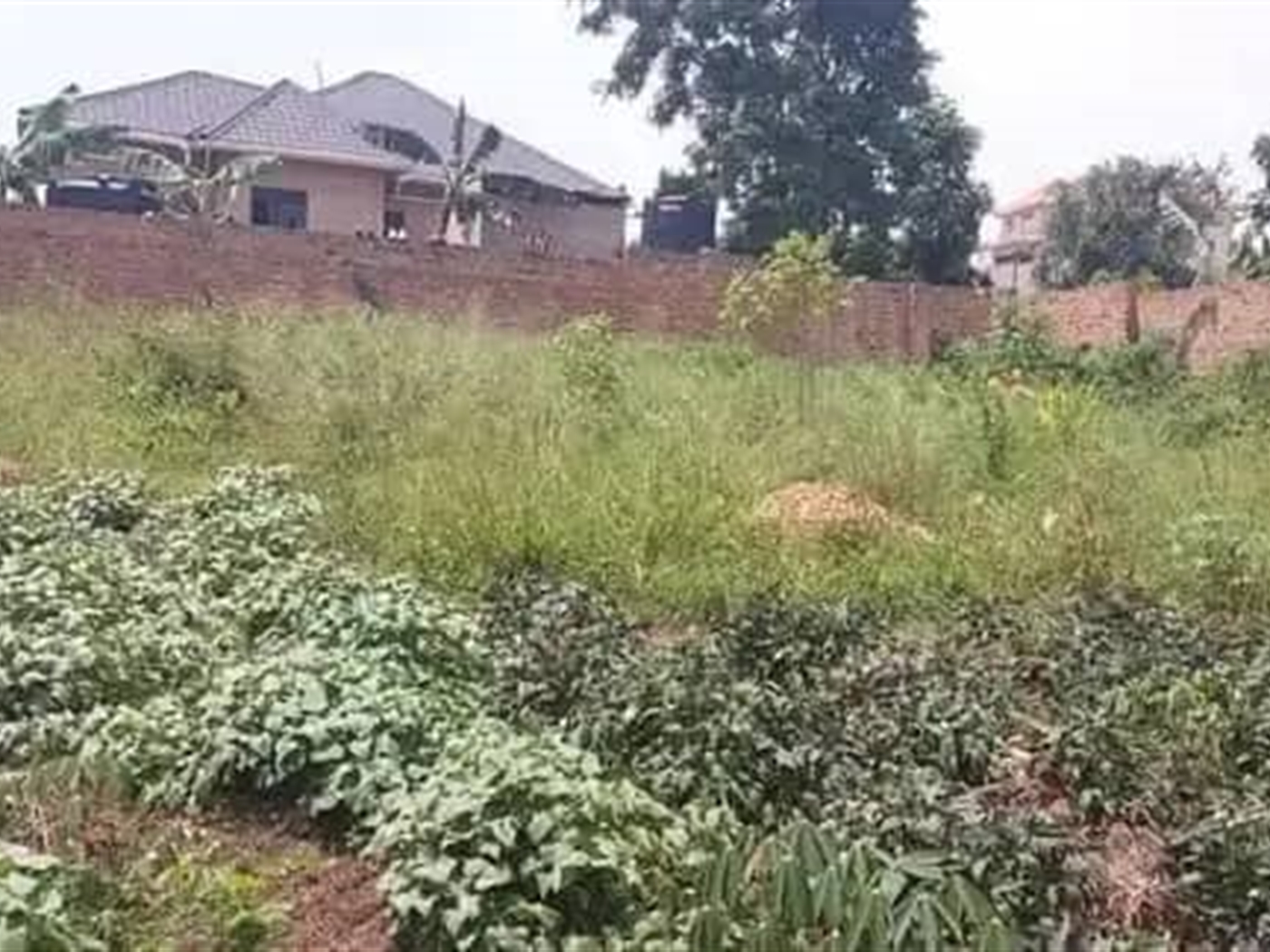 Residential land for sale in Kakiri Wakiso Uganda