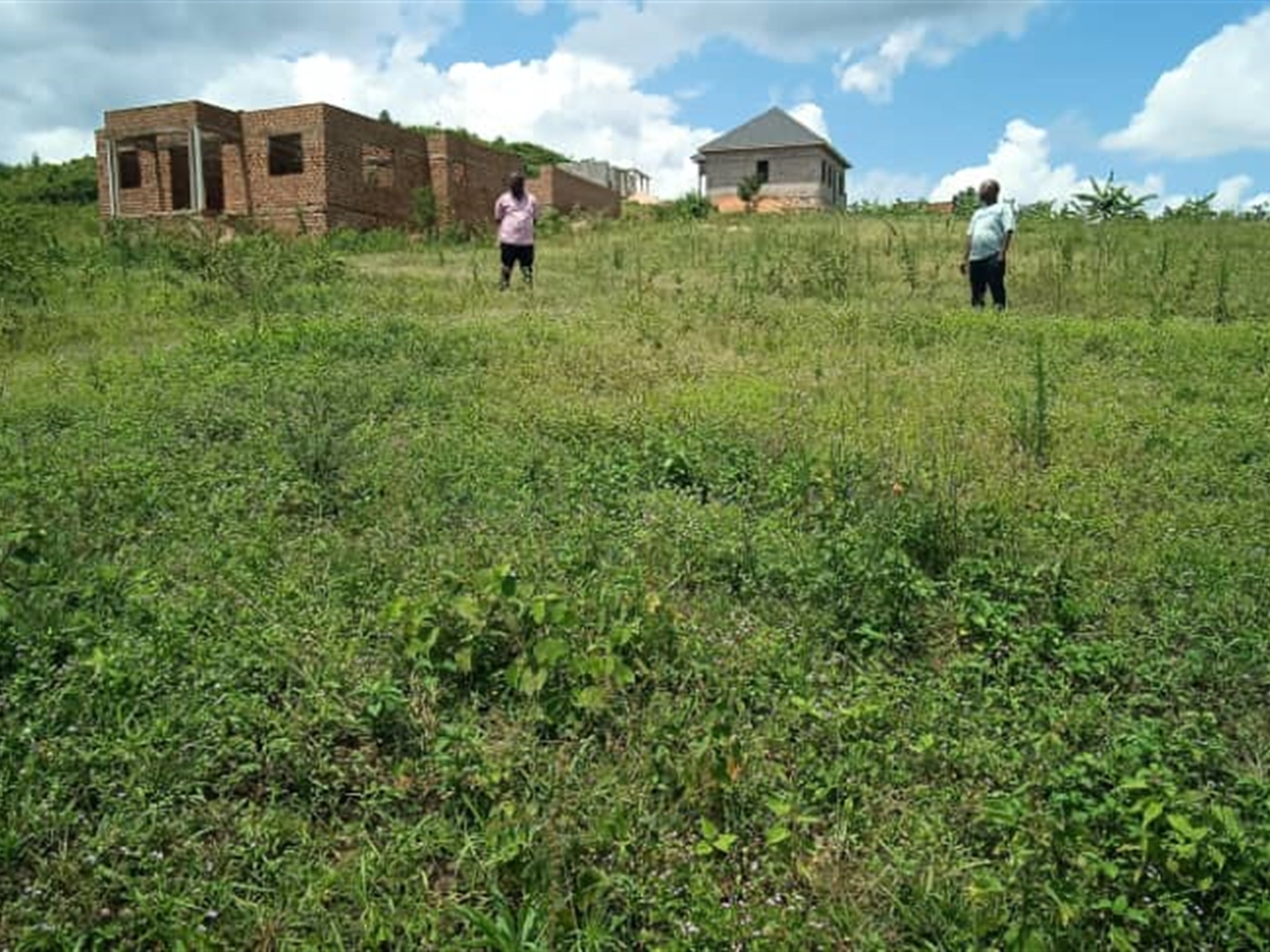 Residential land for sale in Kiwenda Wakiso Uganda,