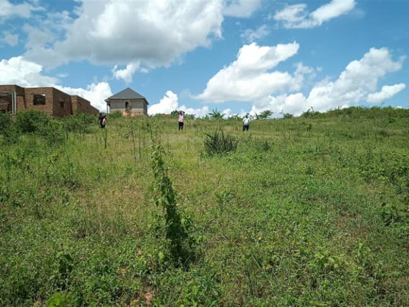 Residential land for sale in Kiwenda Wakiso Uganda...