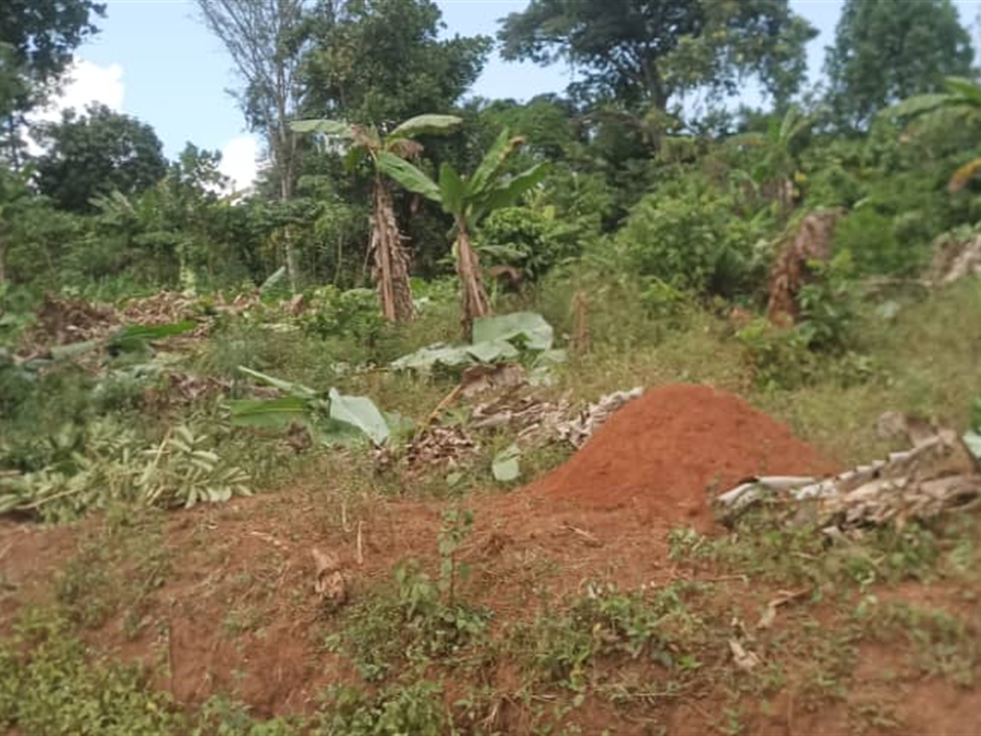 Residential land for sale in Kiwenda Wakiso Uganda