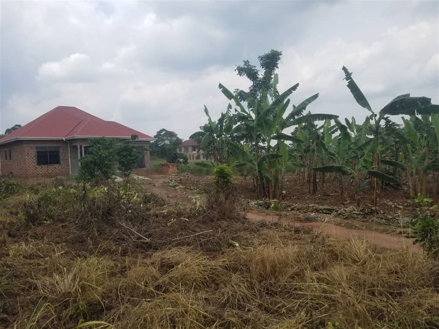 Residential land for sale in Kiwenda Wakiso Uganda