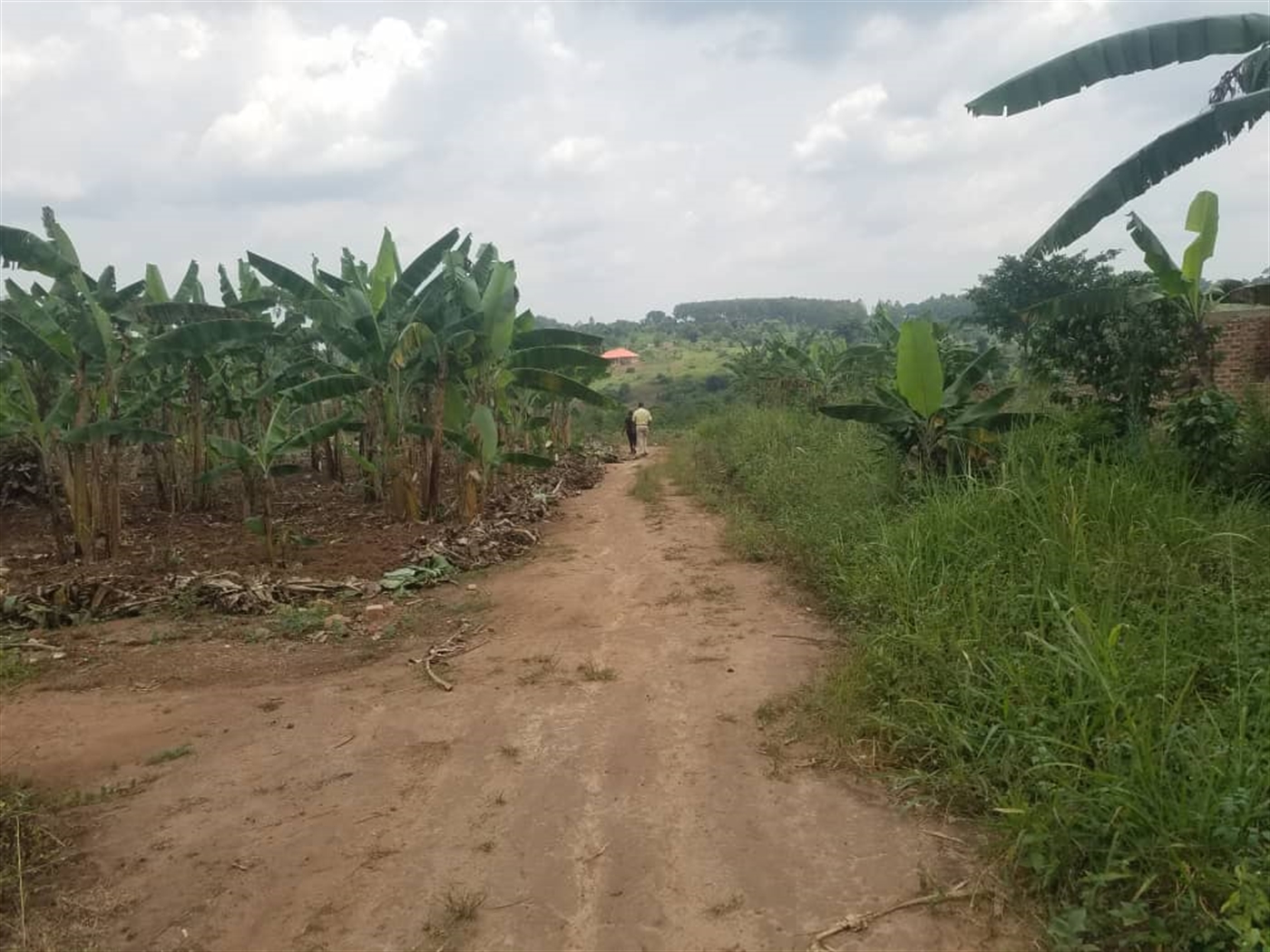 Residential land for sale in Kiwenda Wakiso Uganda