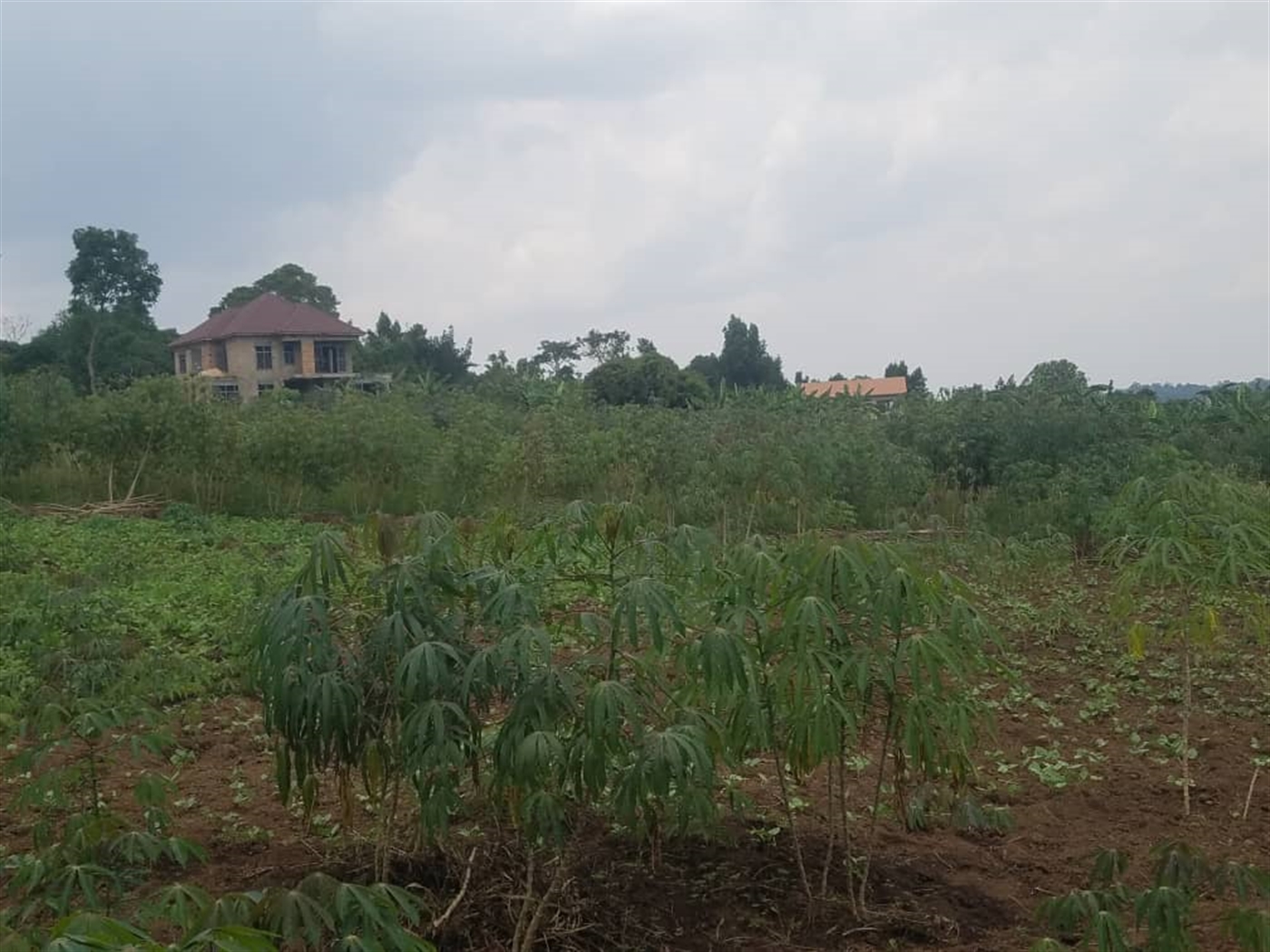 Residential land for sale in Kiwenda Wakiso Uganda