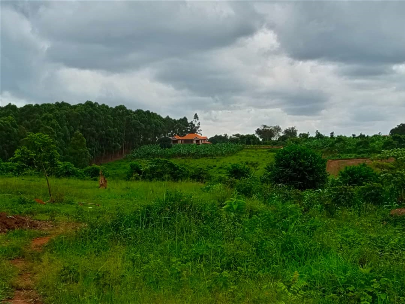 Residential land for sale in Kiwenda Wakiso Uganda