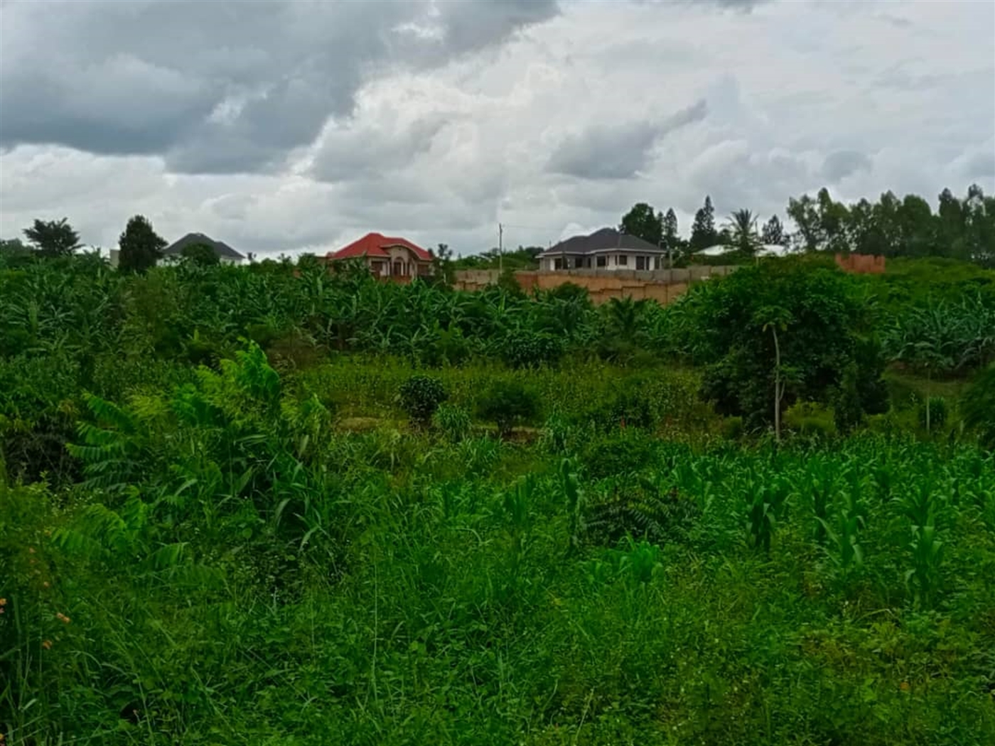 Residential land for sale in Kiwenda Wakiso Uganda